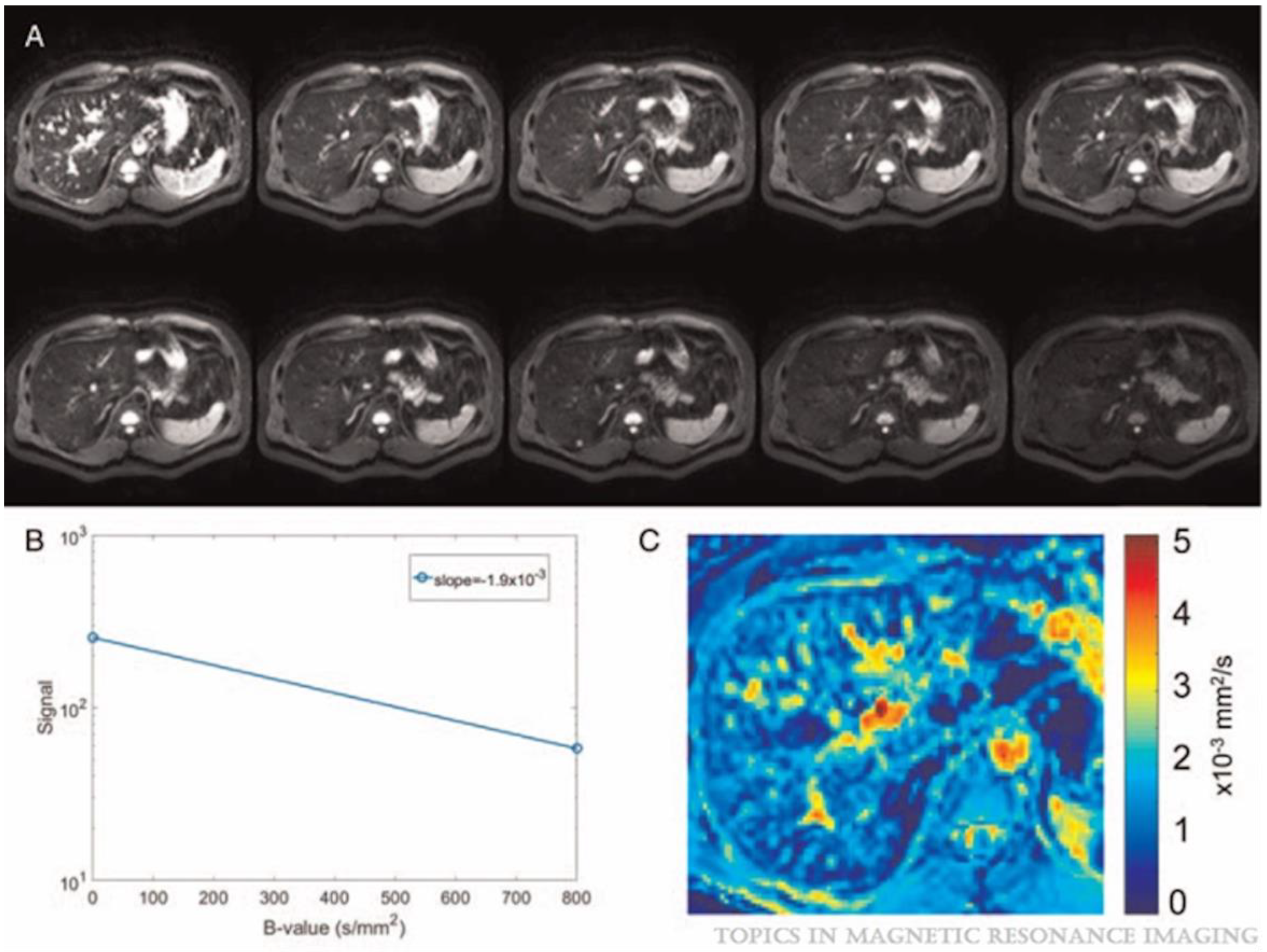 Tomography 11 00063 g001