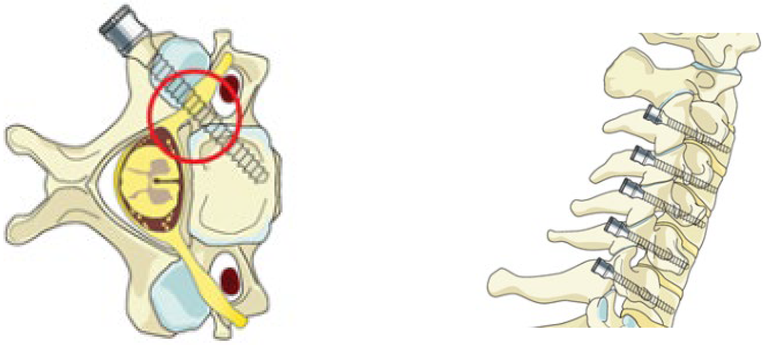 Tomography 11 00079 g001