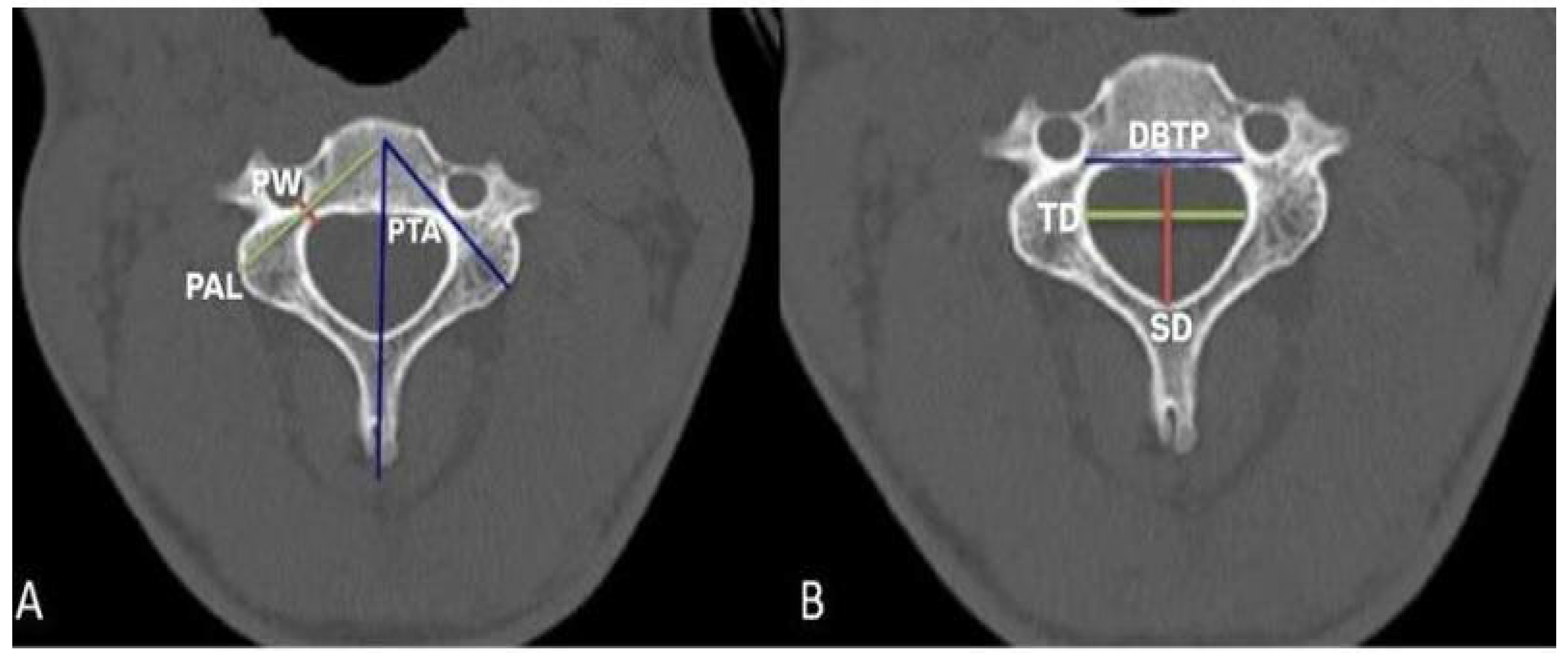 Tomography 11 00079 g002