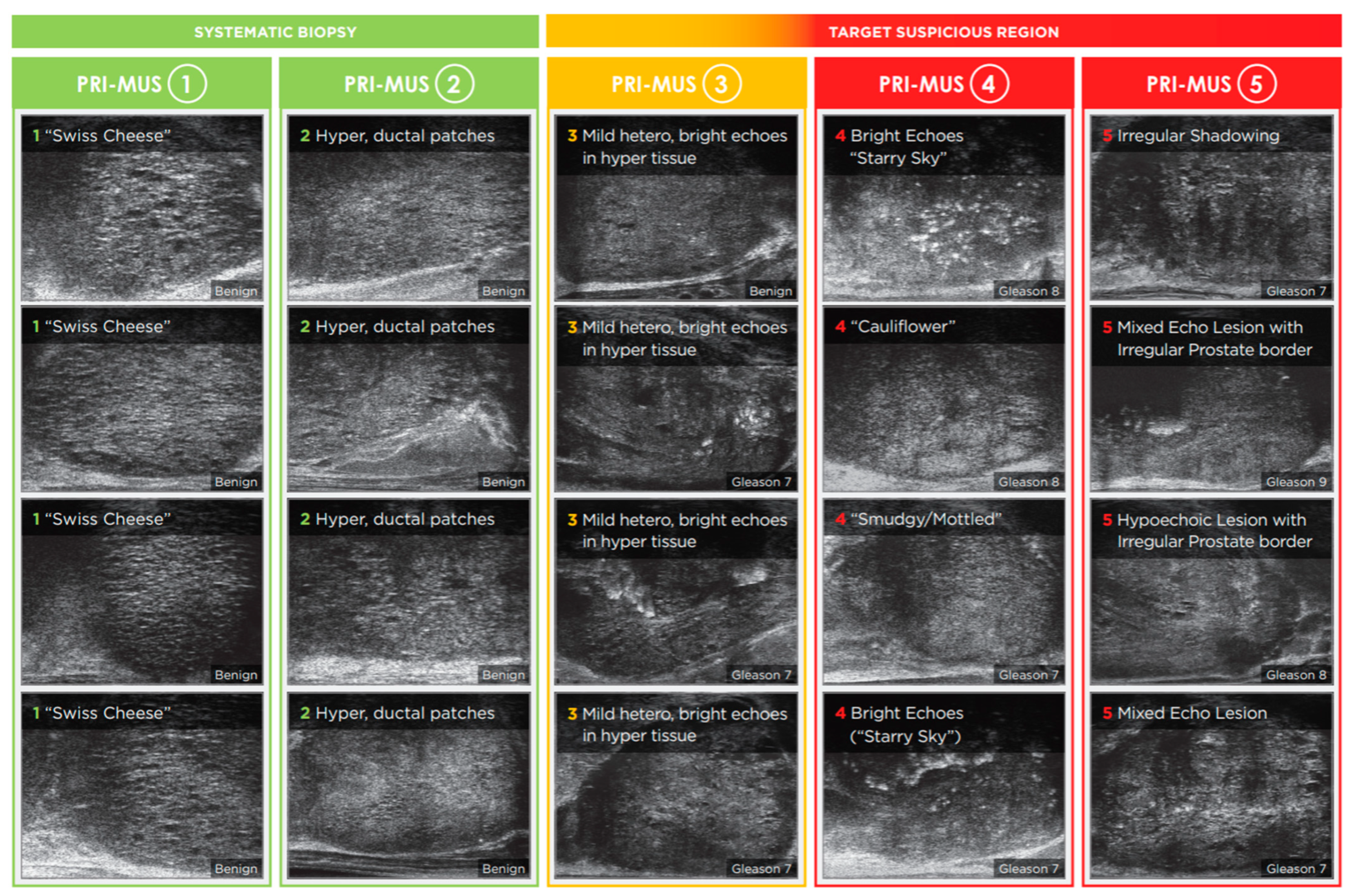 Tomography 11 00080 g001