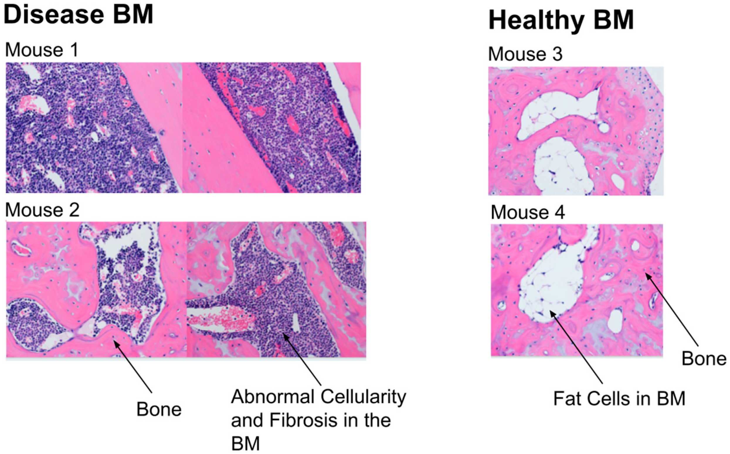Tomography 11 00082 g004 Tomography 11 00082 g004