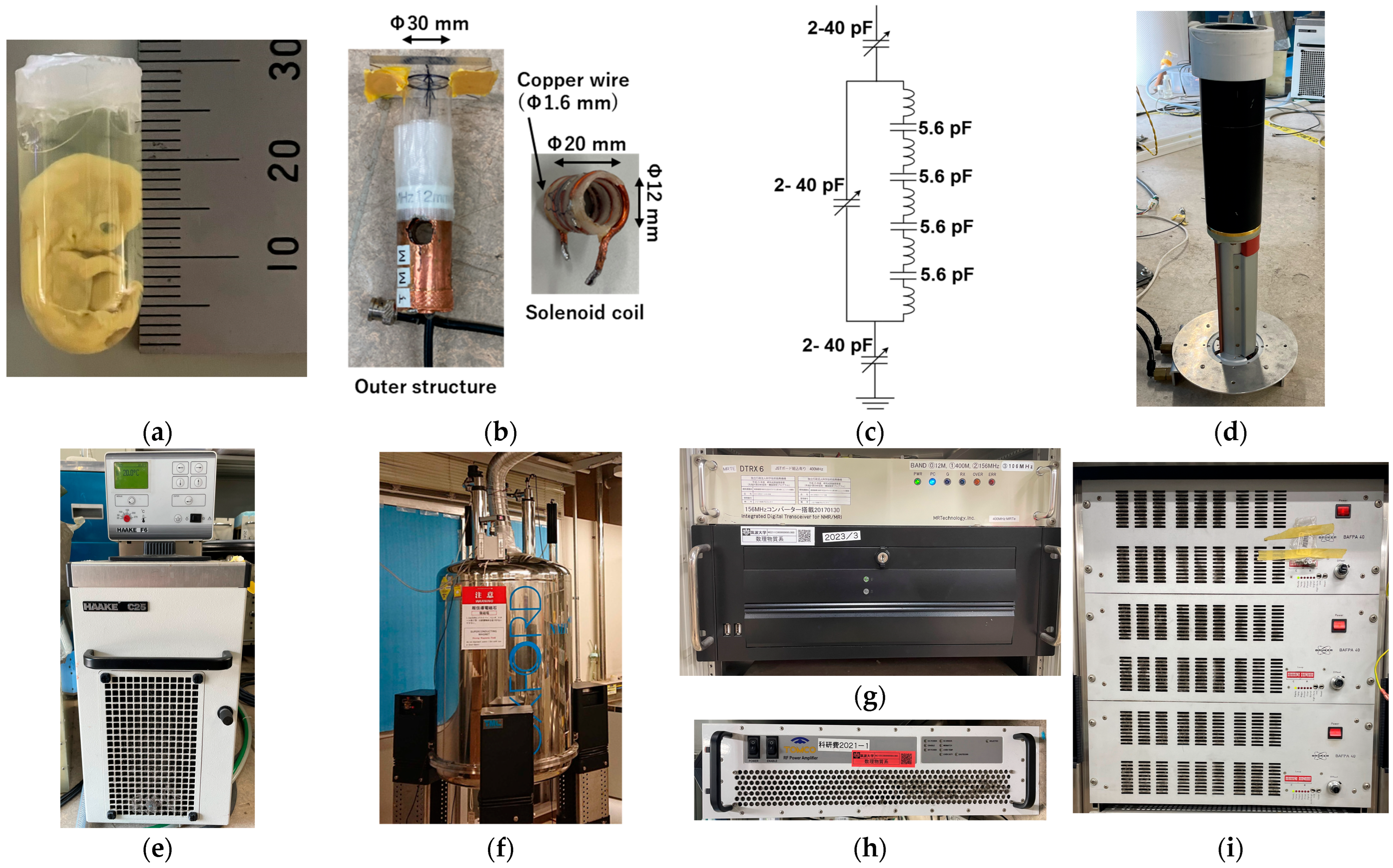 Tomography 11 00088 g004