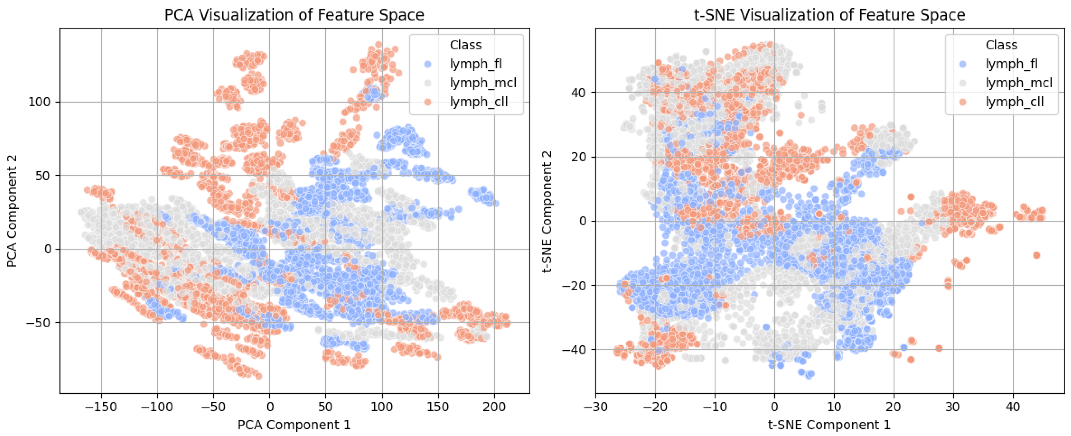 Tomography 11 00091 g002 Tomography 11 00091 g002