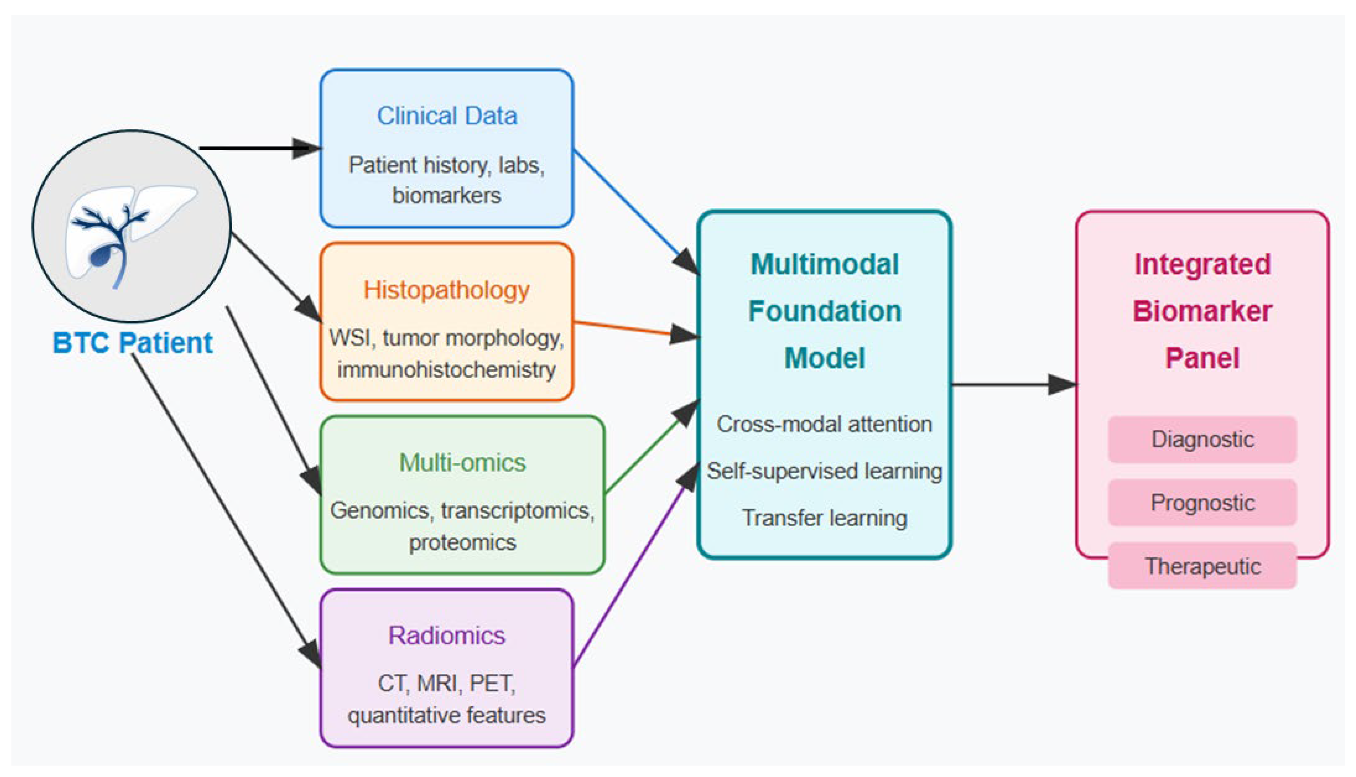 Tomography 11 00096 g003