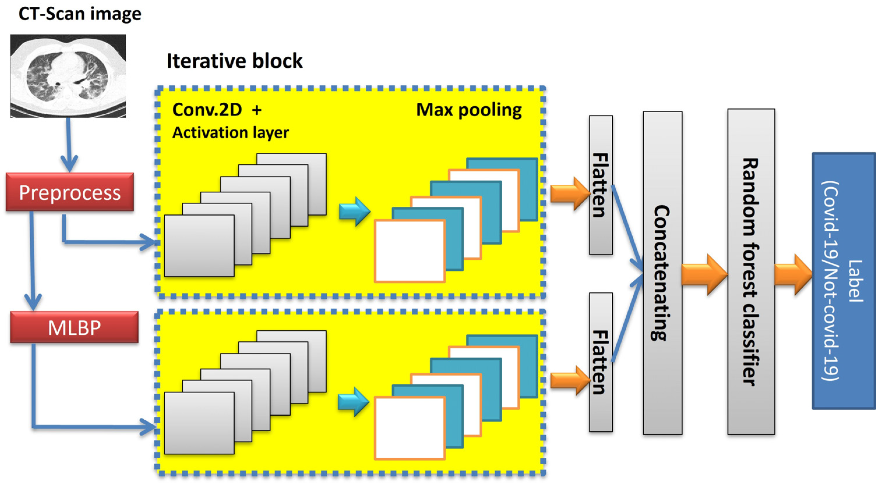 Tomography 11 00099 g003