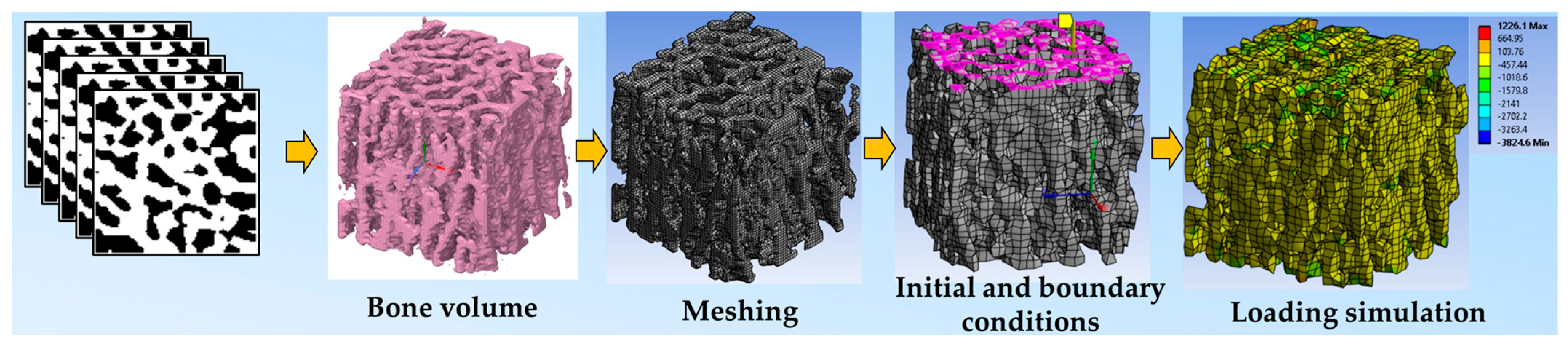 Tomography 11 00101 g002 Tomography 11 00101 g002