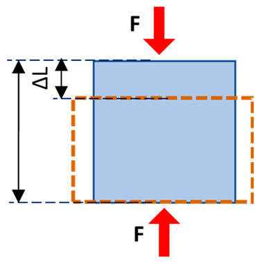 Tomography 11 00101 i001 Tomography 11 00101 i001