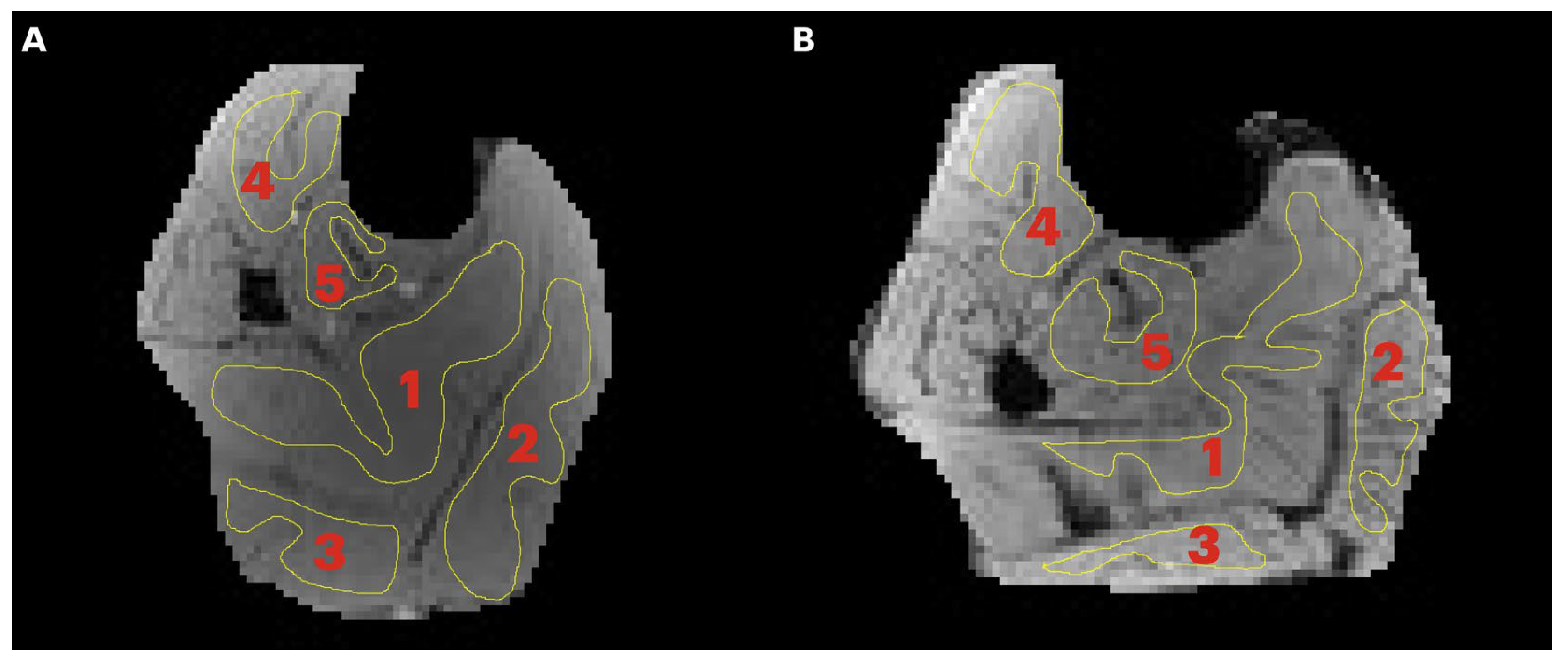 Tomography 11 00103 g001