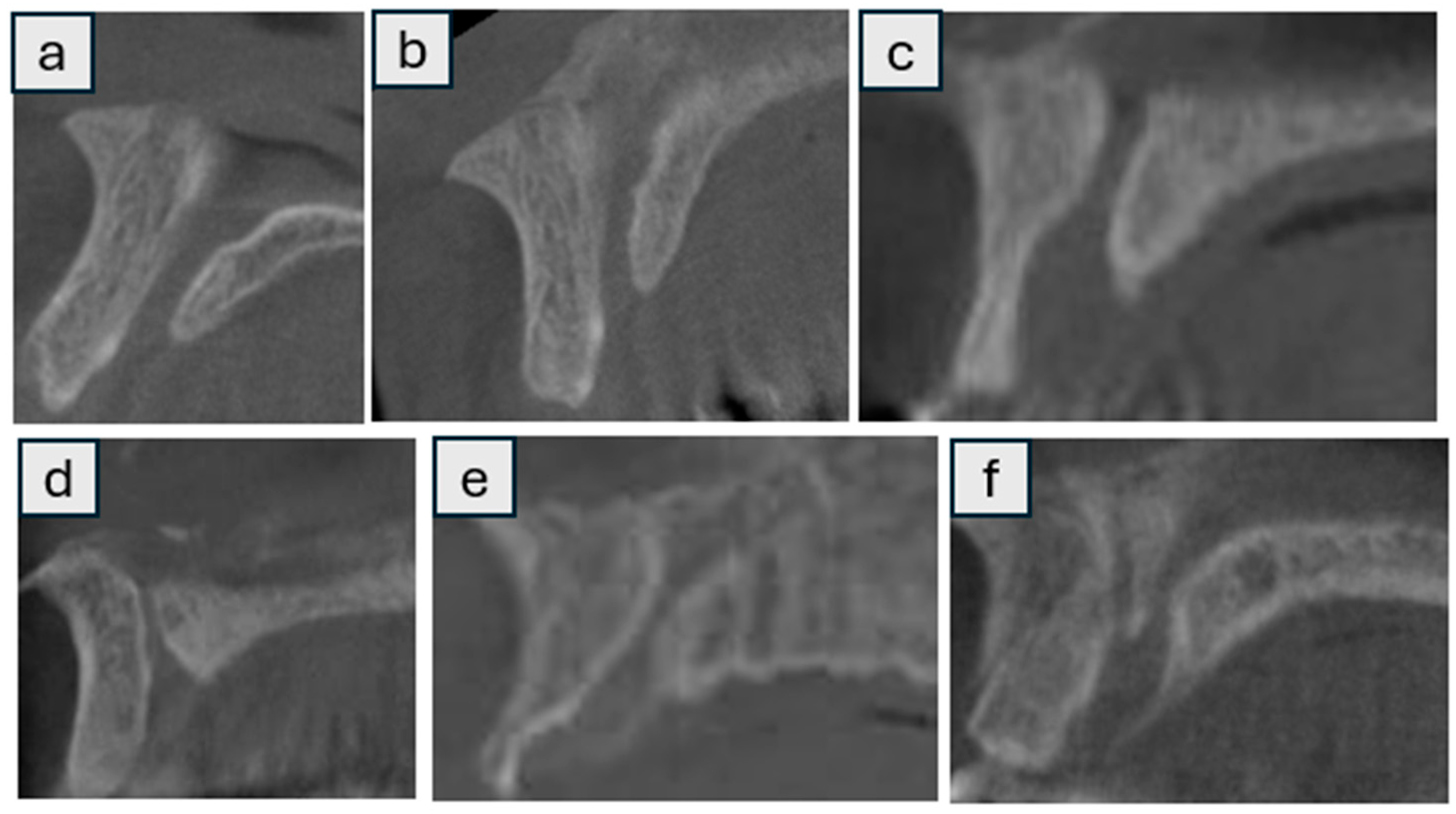 Tomography 11 00114 g001