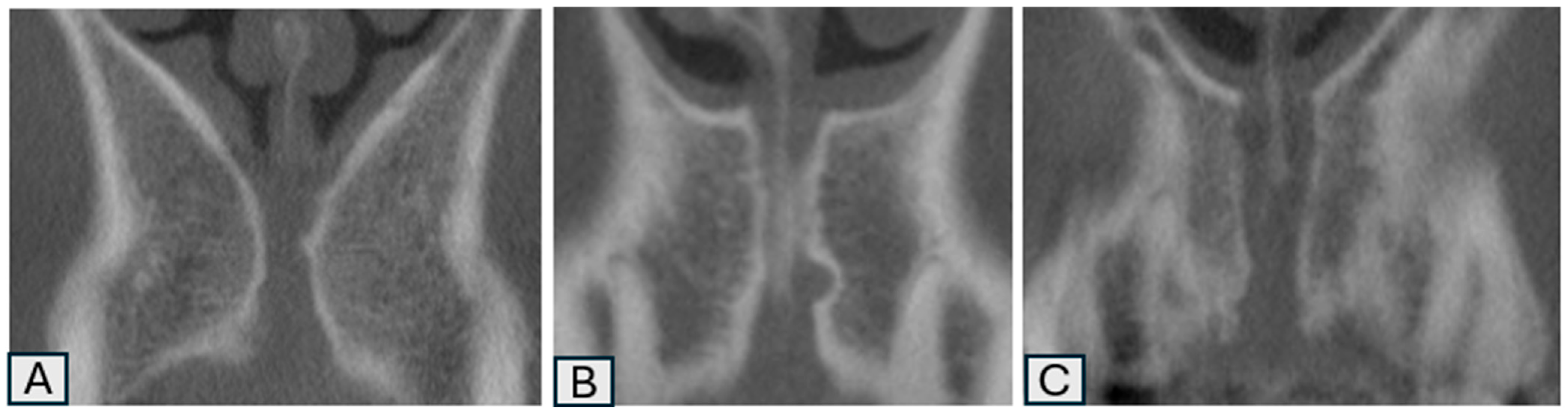 Tomography 11 00114 g002