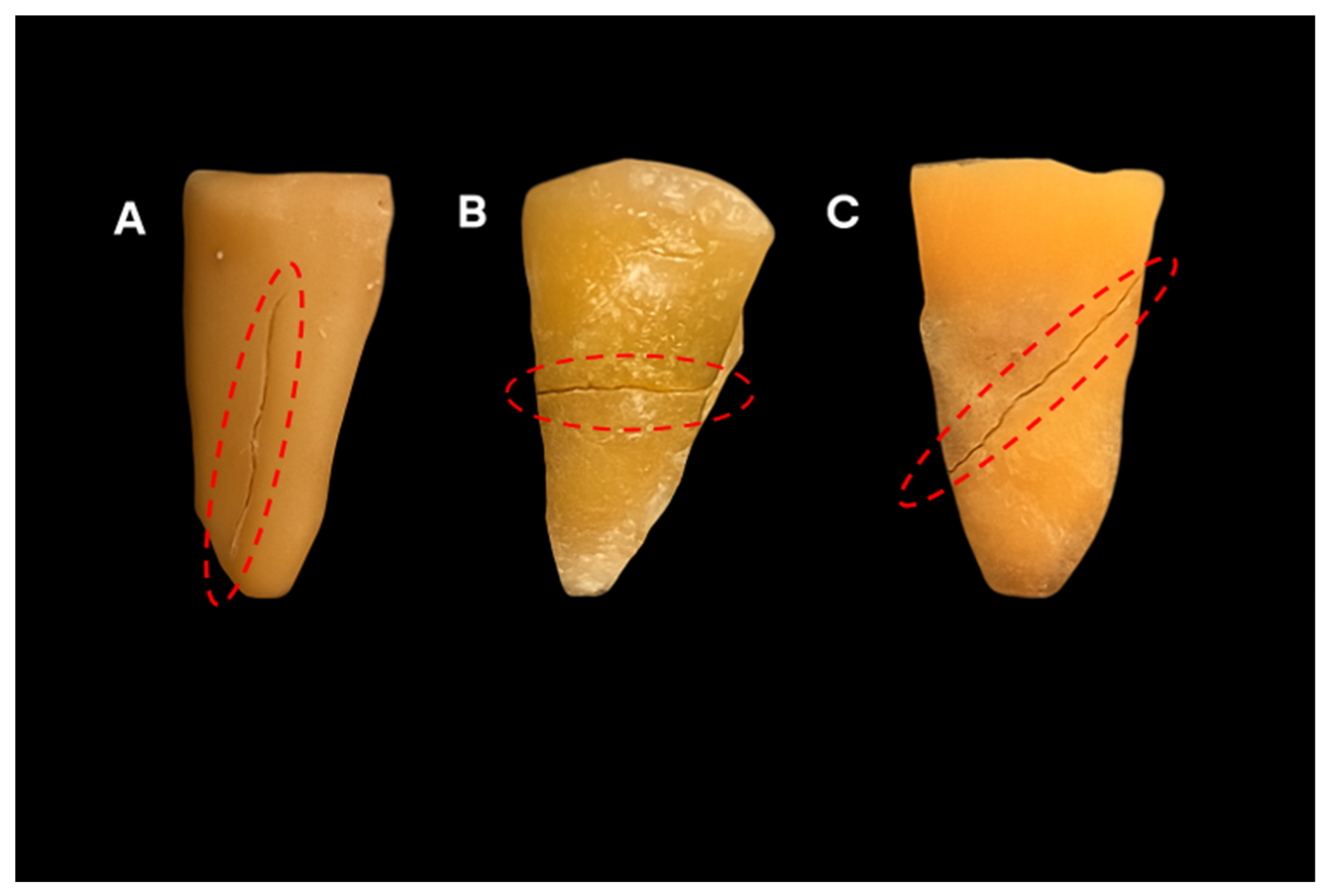 Tomography 11 00116 g001