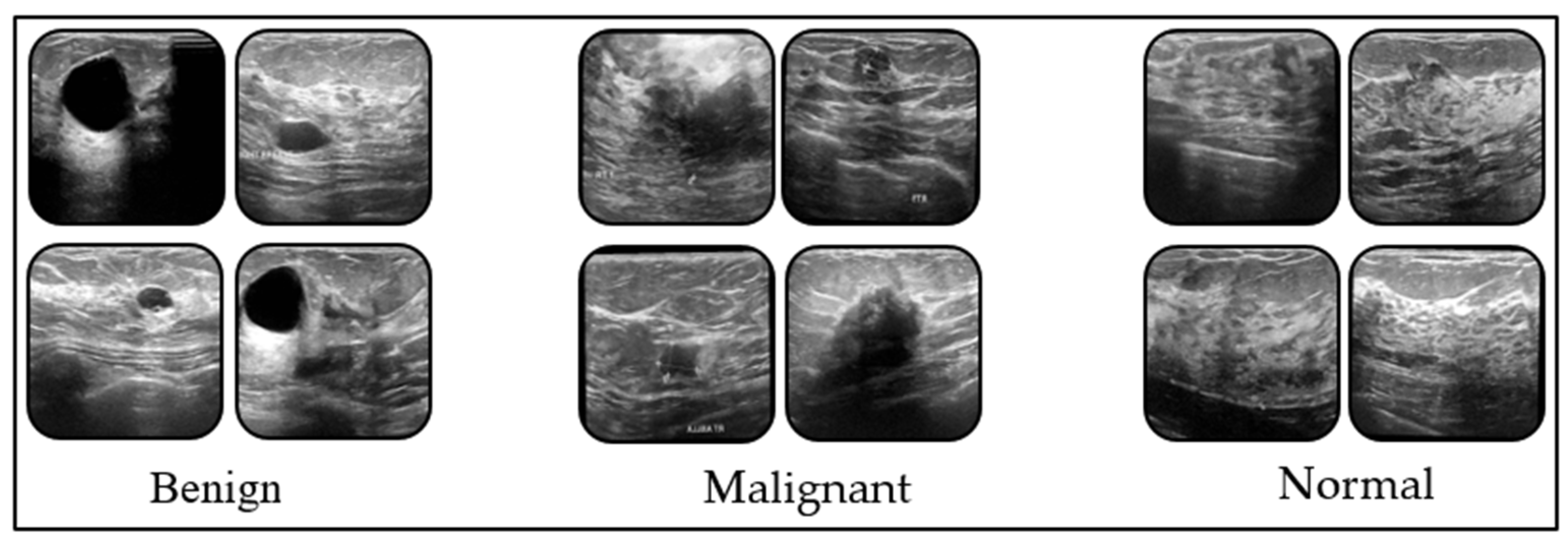 Tomography 11 00138 g001 Tomography 11 00138 g001