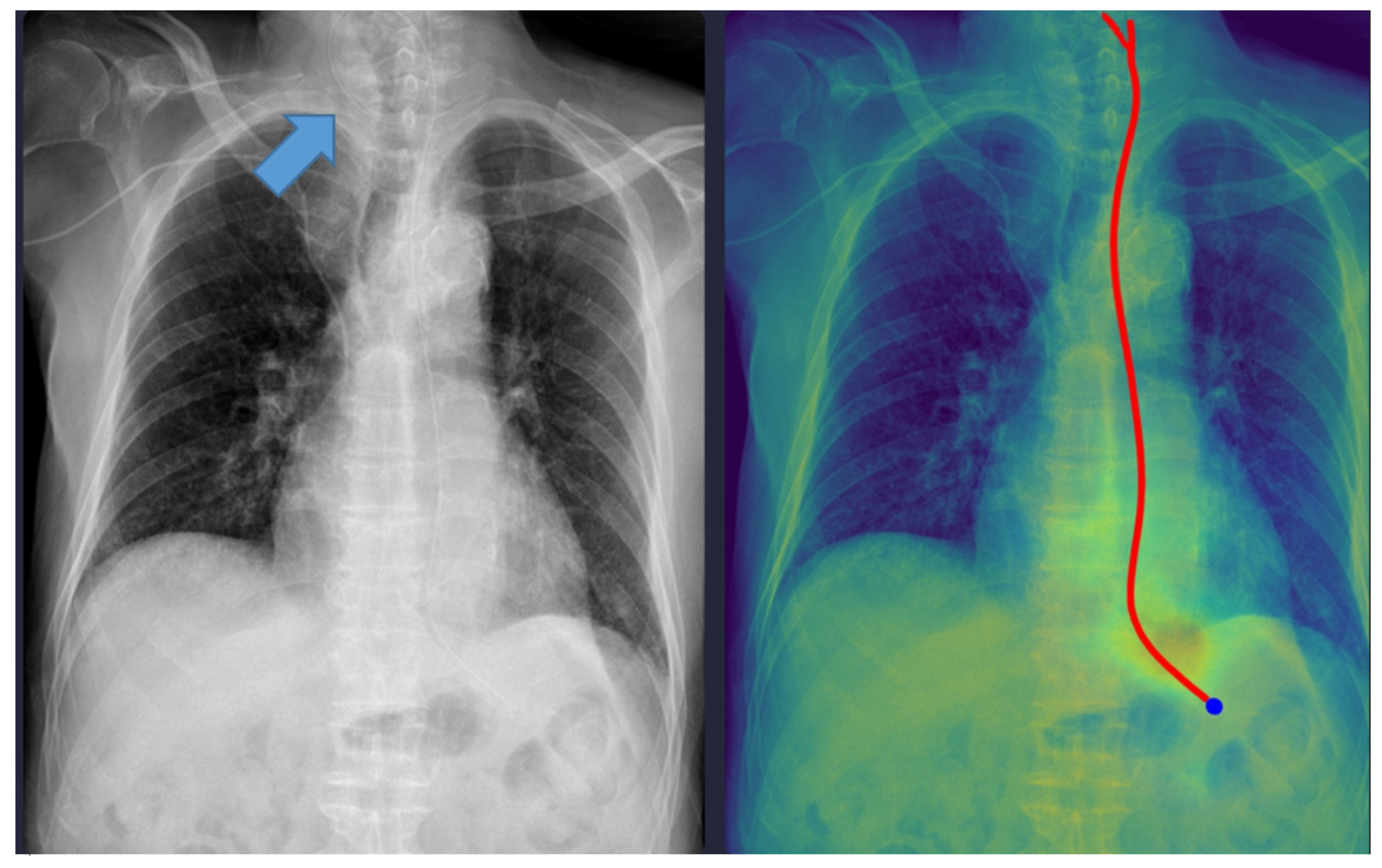 Tomography 11 00140 g002
