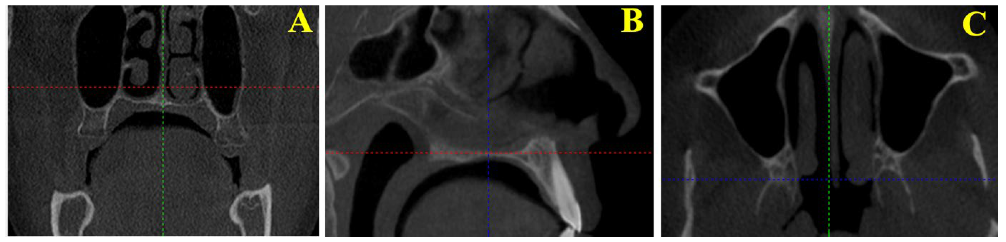 Tomography 12 00009 g001