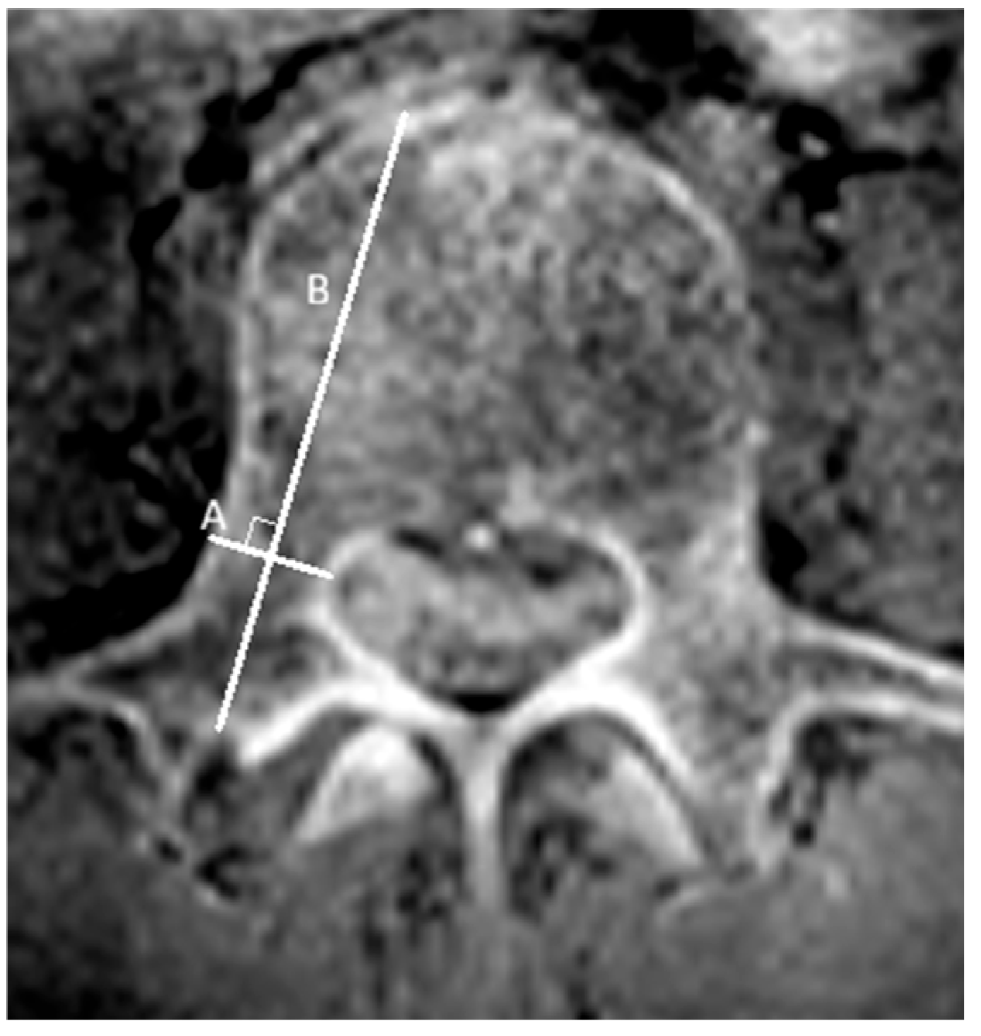 Tomography 12 00040 g001