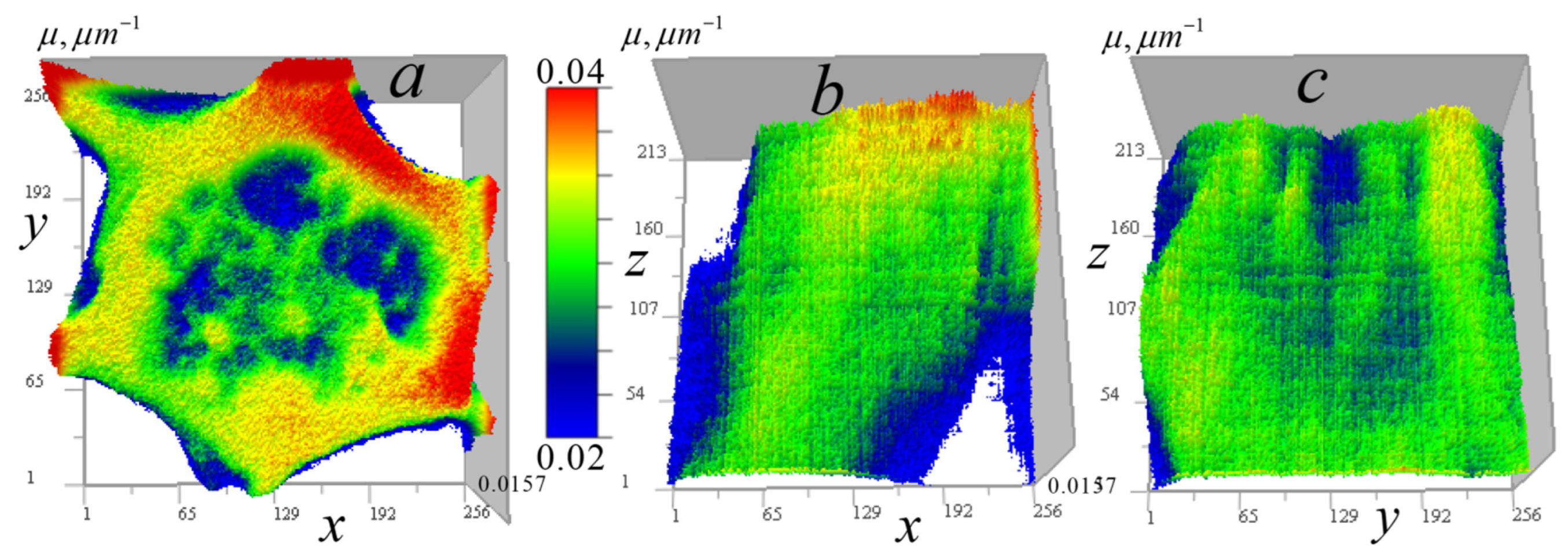 Tomography 12 00041 g011
