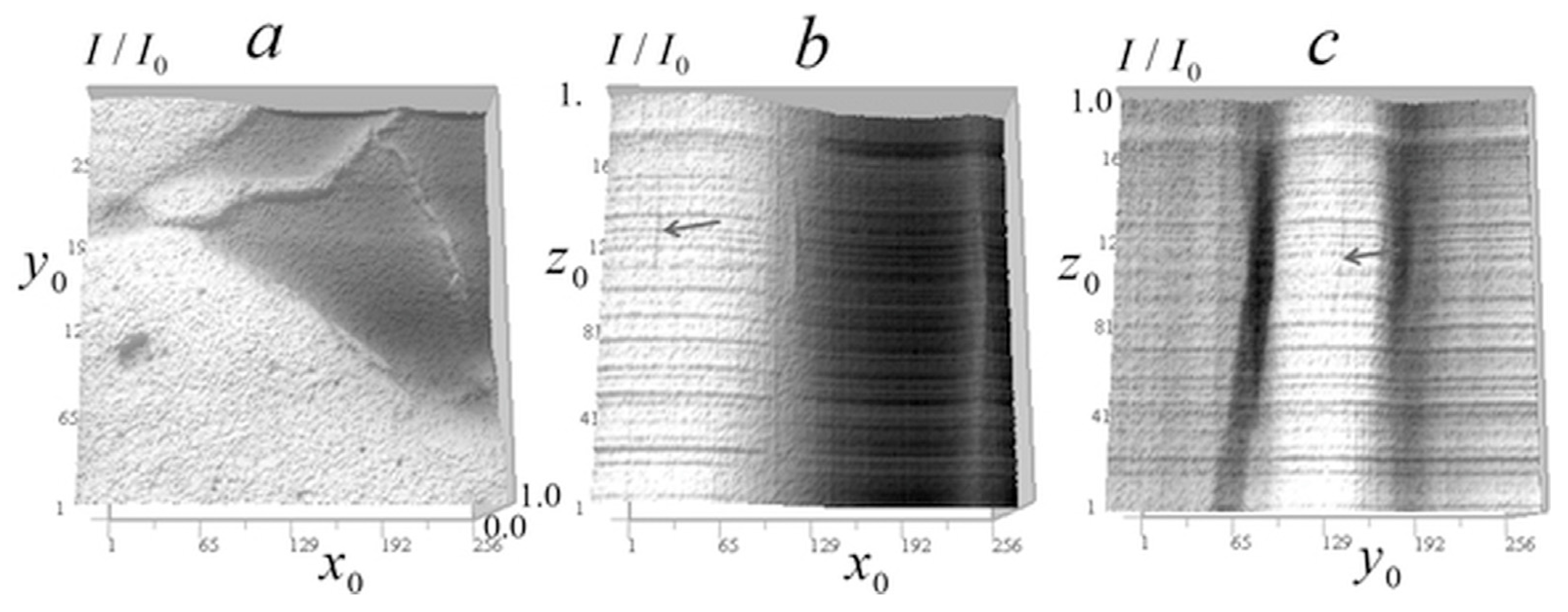 Tomography 12 00041 g024
