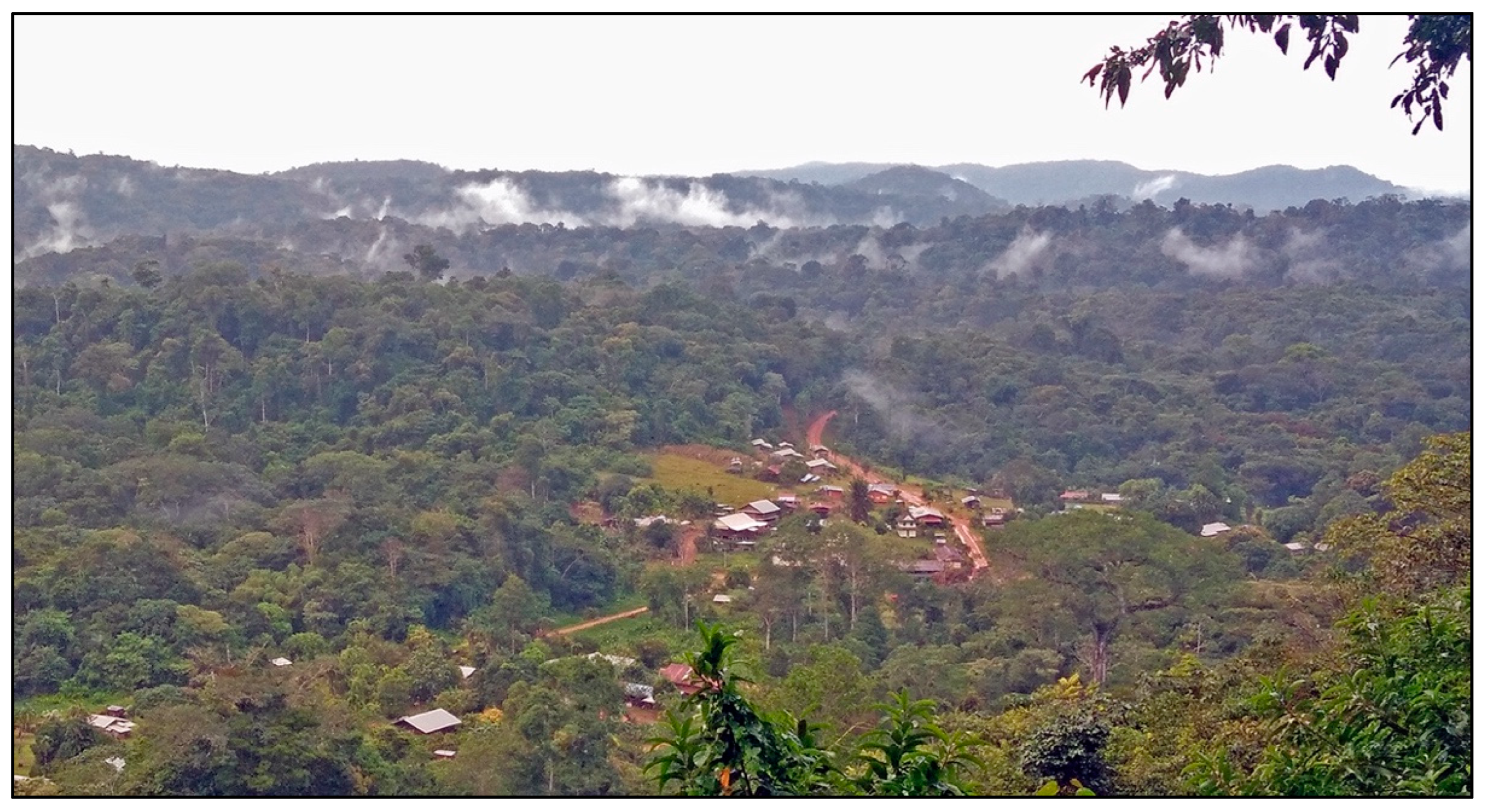 Tourismhosp 04 00010 g004