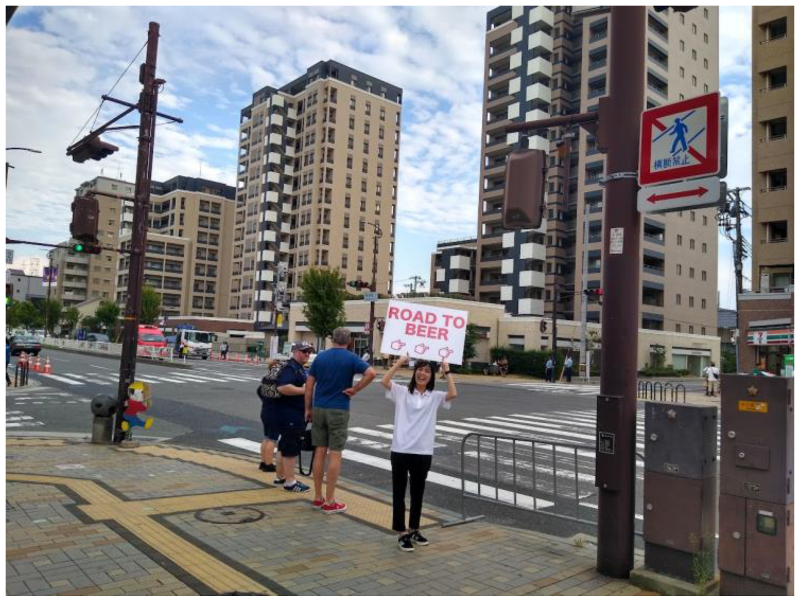 Tourismhosp 04 00013 g007