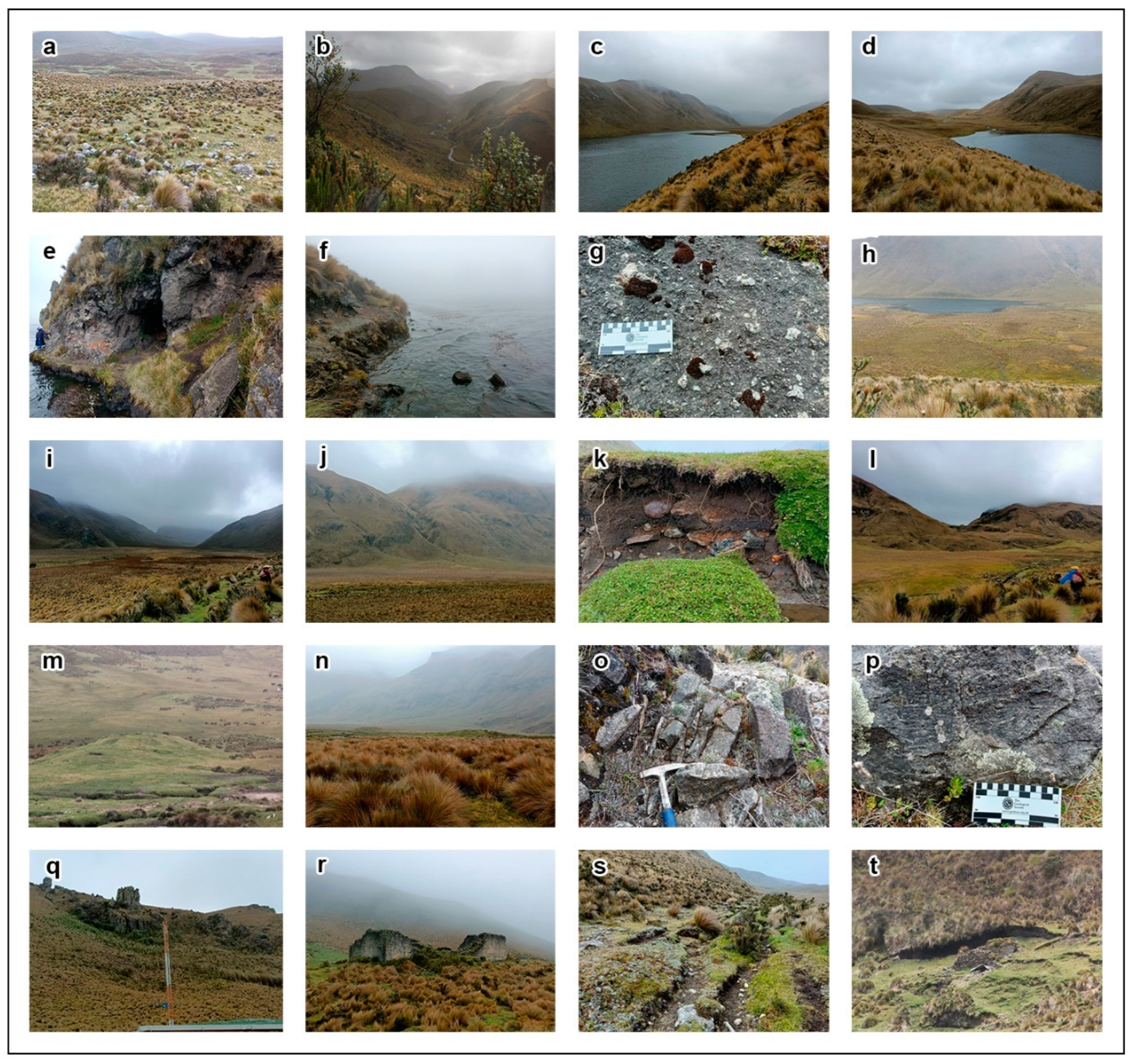 Tourismhosp 04 00026 g006