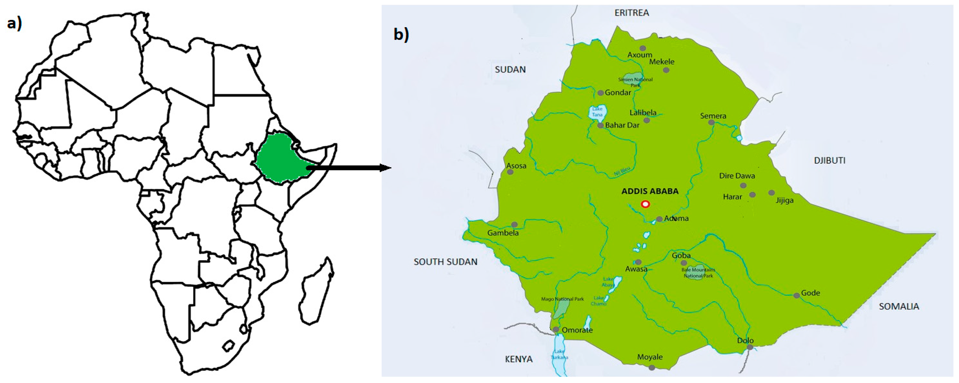 Tourismhosp 05 00026 g001