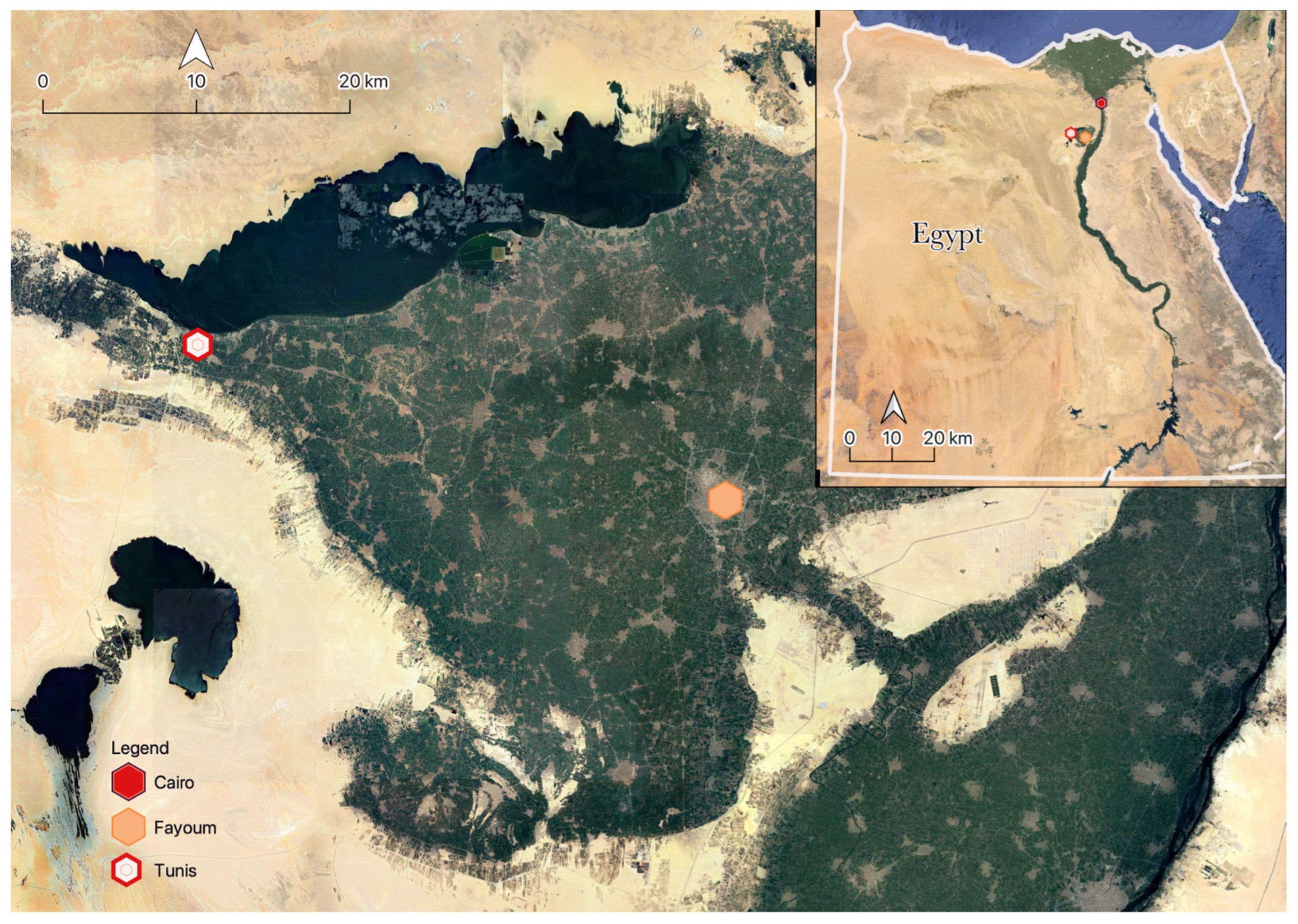 Tourismhosp 05 00038 g001