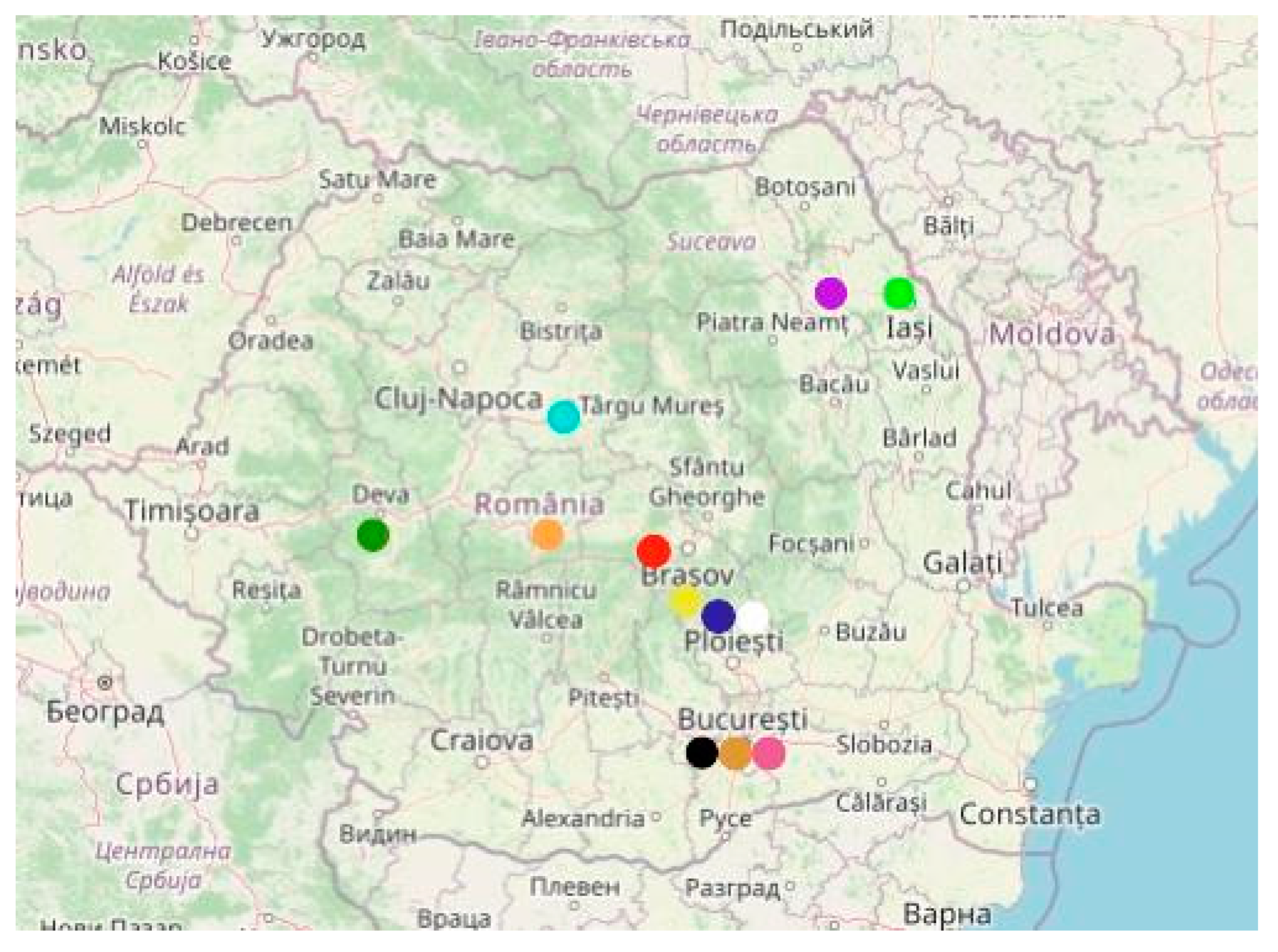 Tourismhosp 06 00026 g004