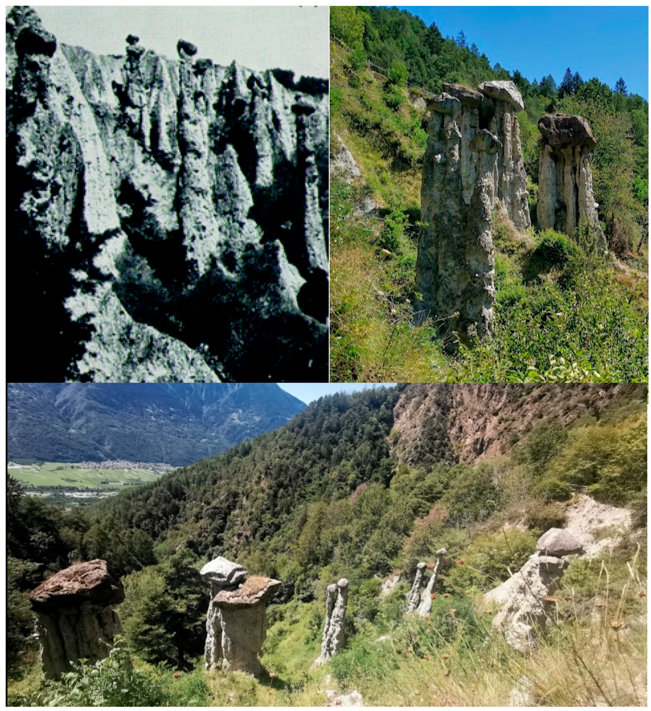 Tourismhosp 06 00106 g008