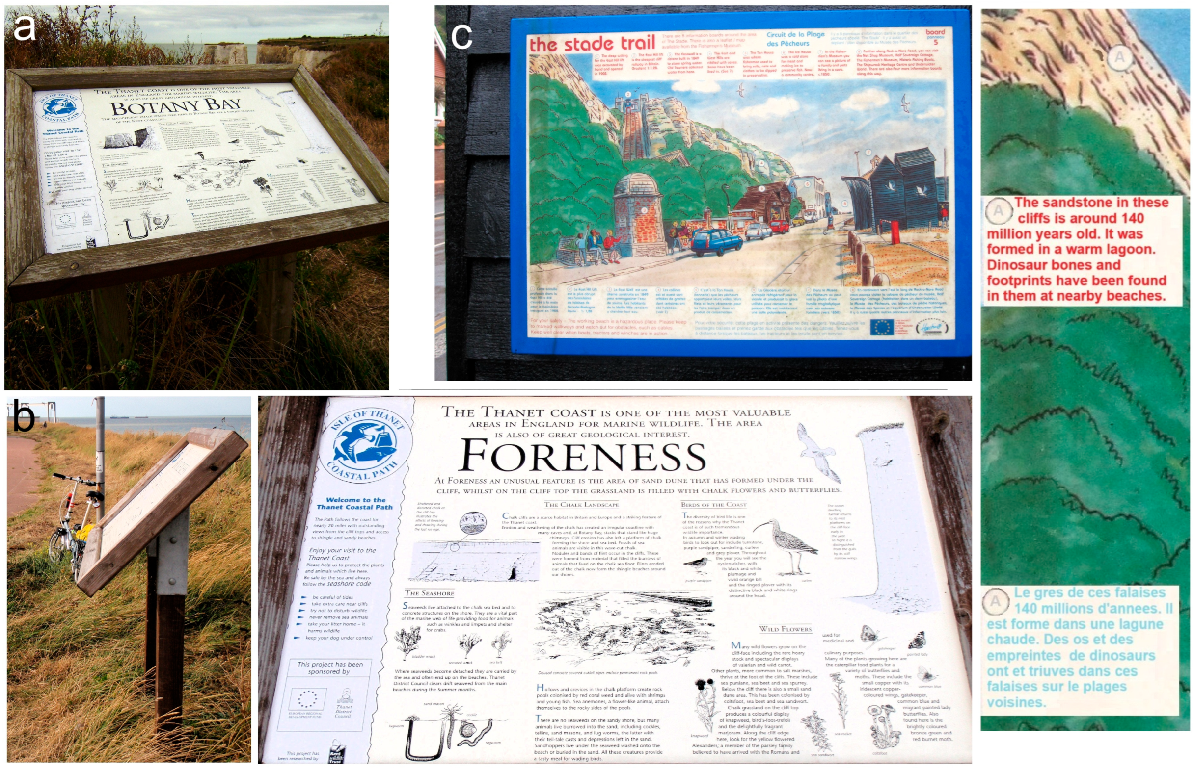 Tourismhosp 06 00155 g015 Tourismhosp 06 00155 g015