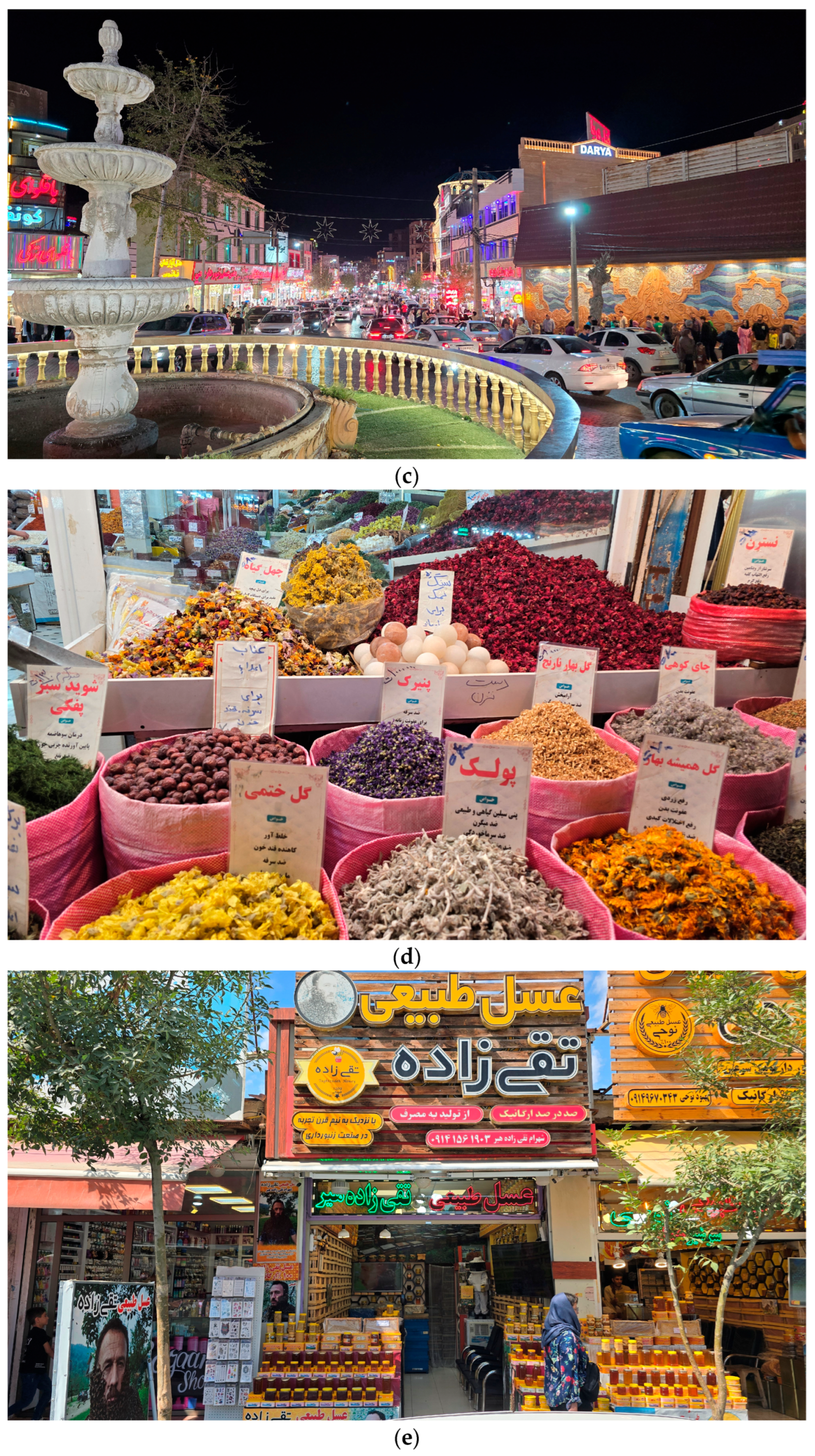 Tourismhosp 06 00189 g001b