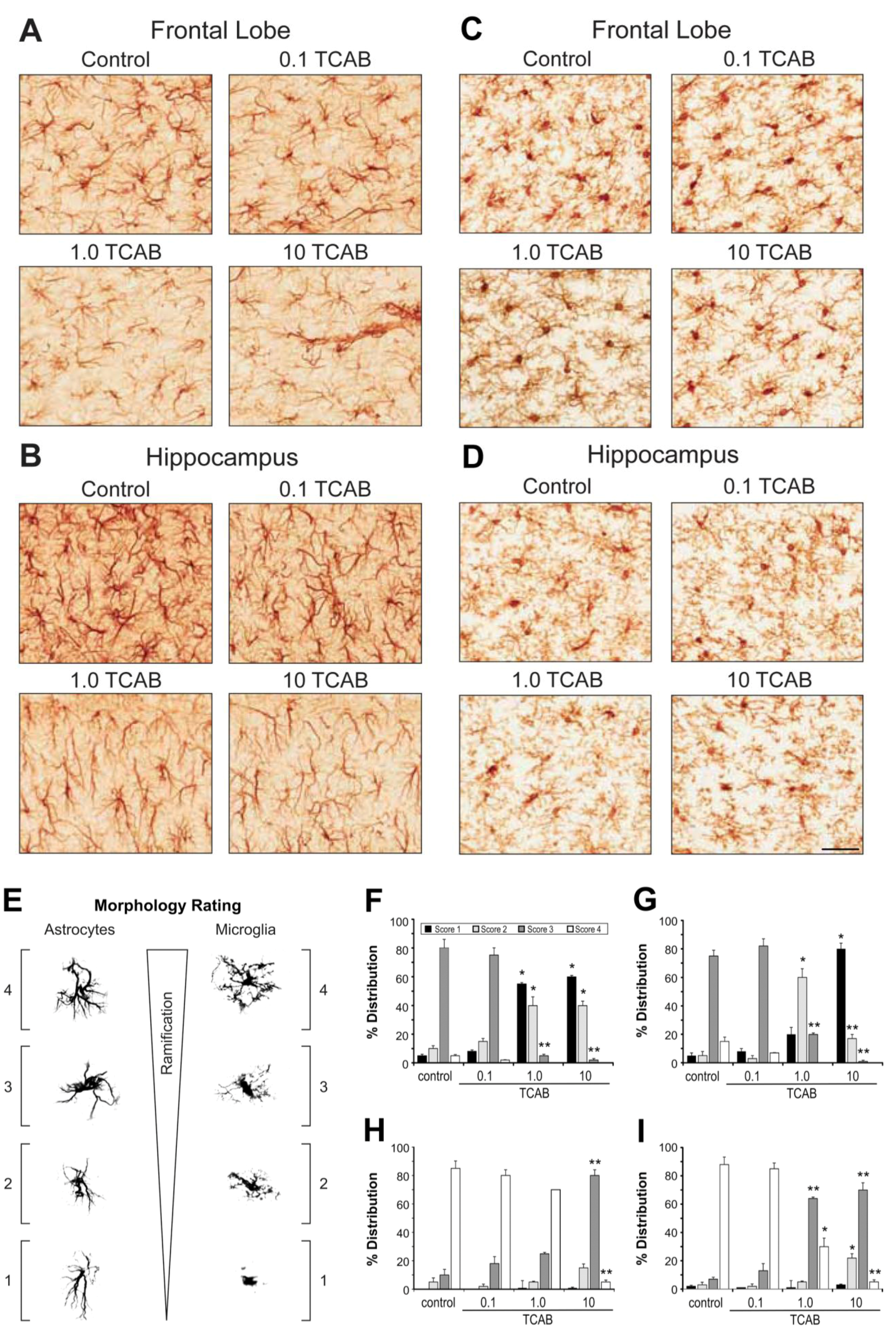 Toxics 02 00496 g009