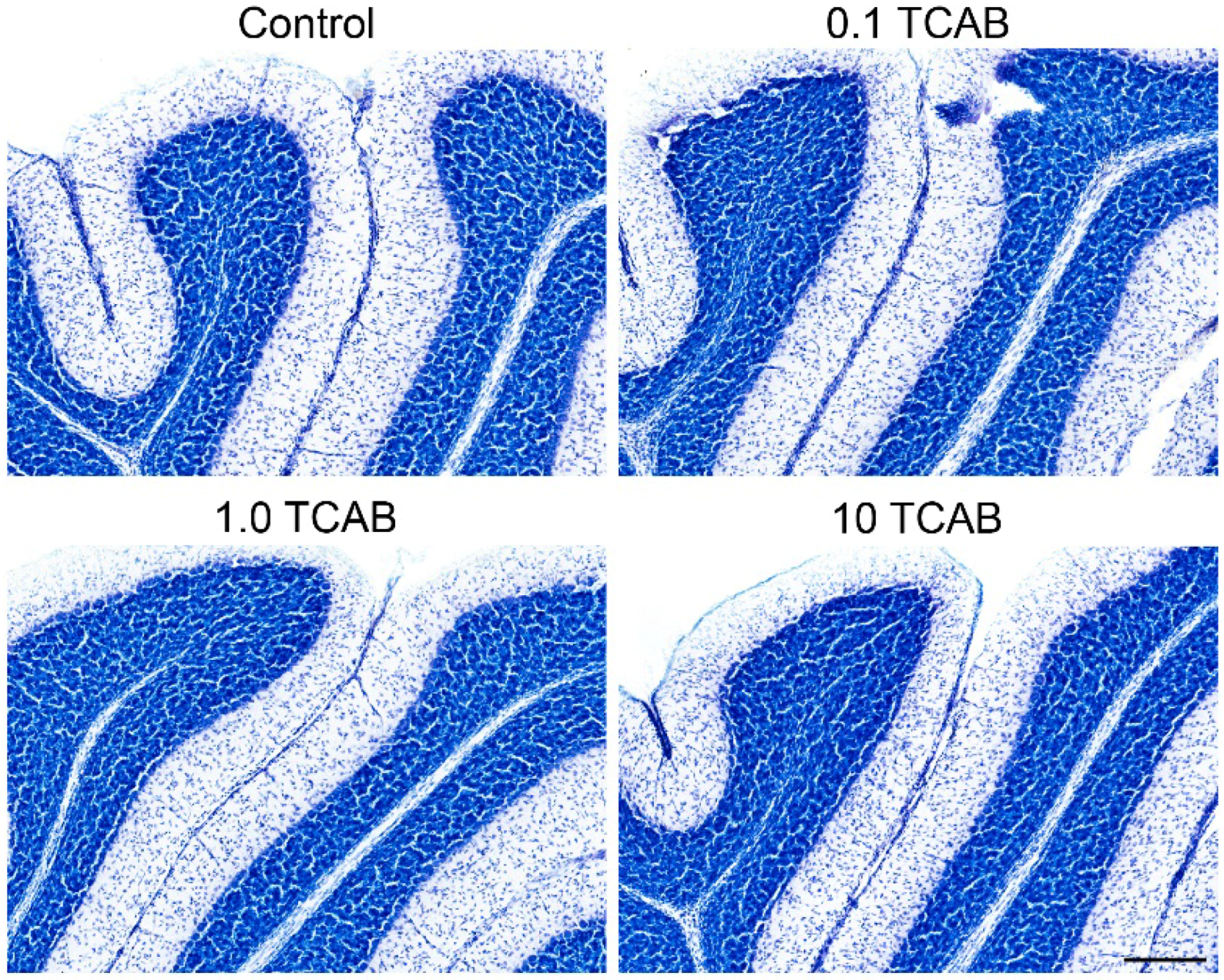 Toxics 02 00496 g012