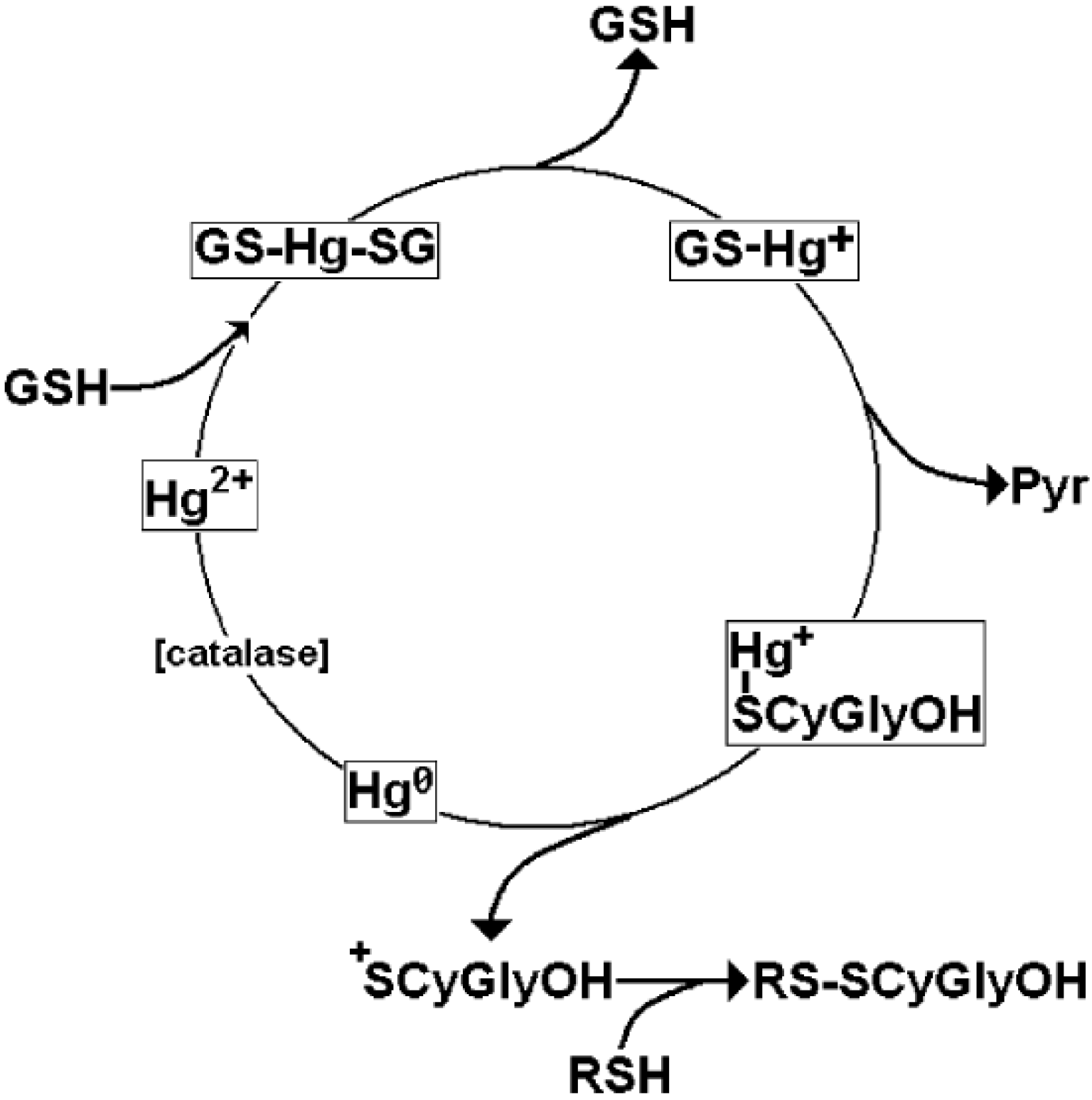 Does Glutathione Contain Mercury
