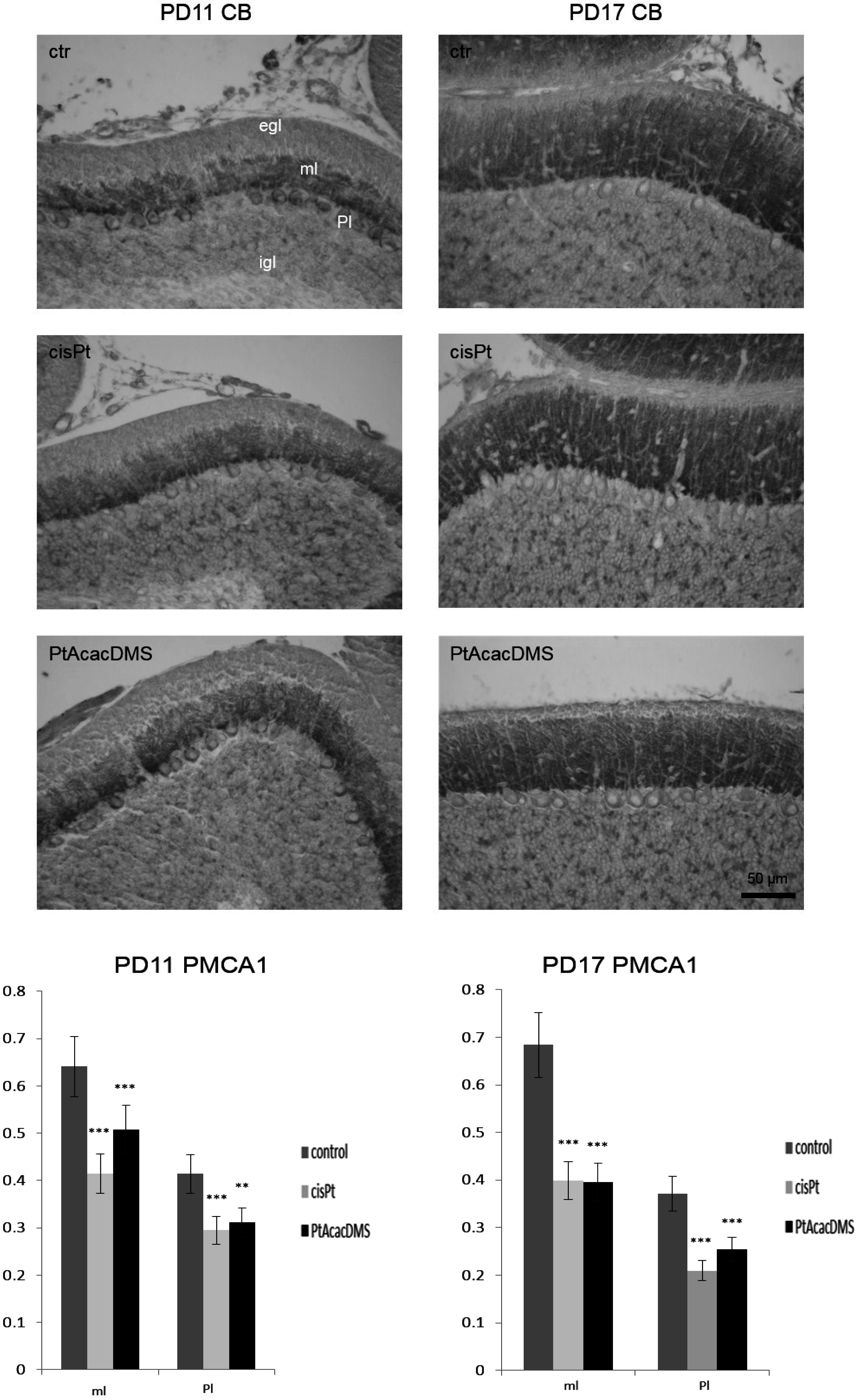 Toxics 03 00224 g003