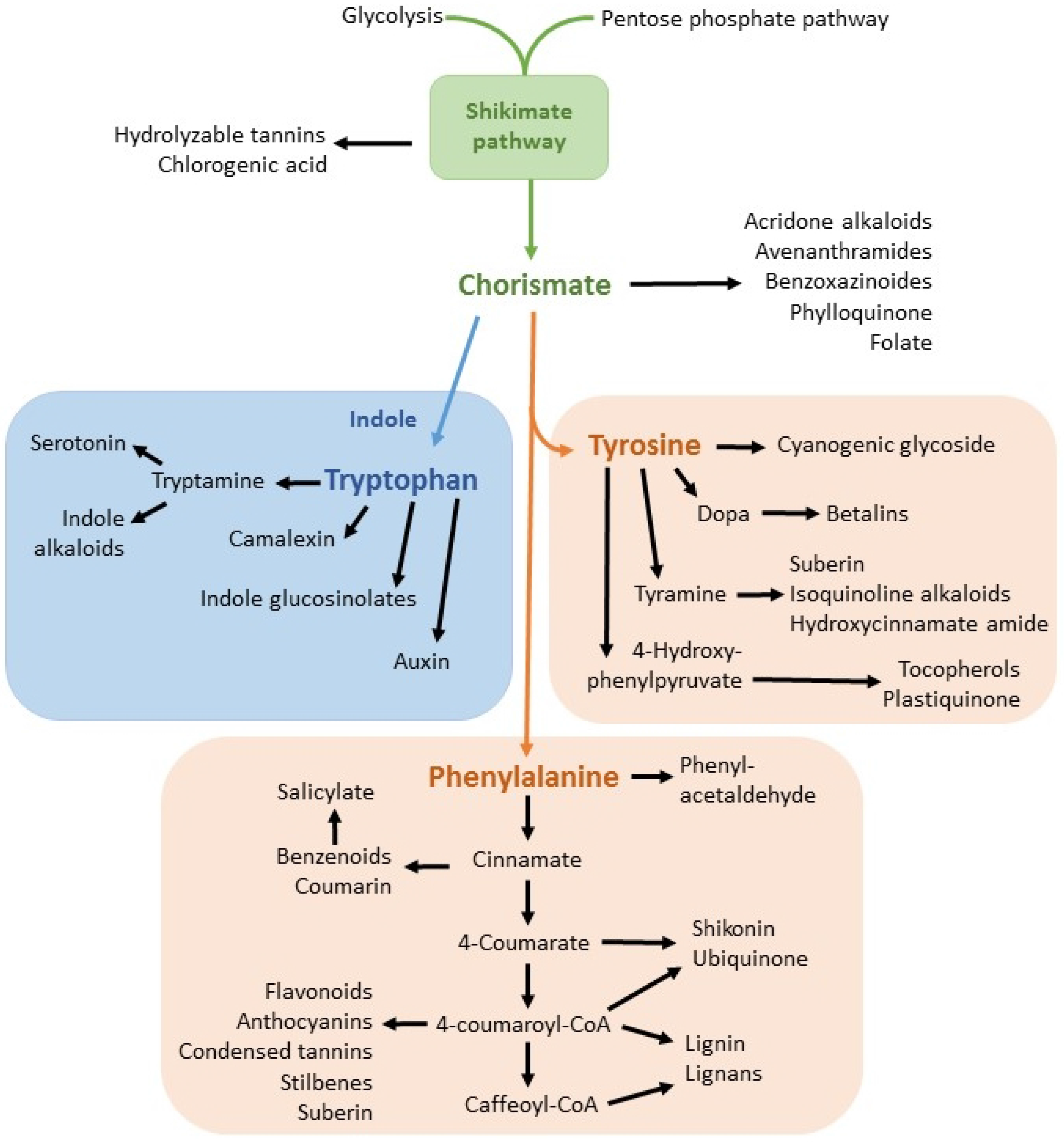 Toxics 03 00462 g001
