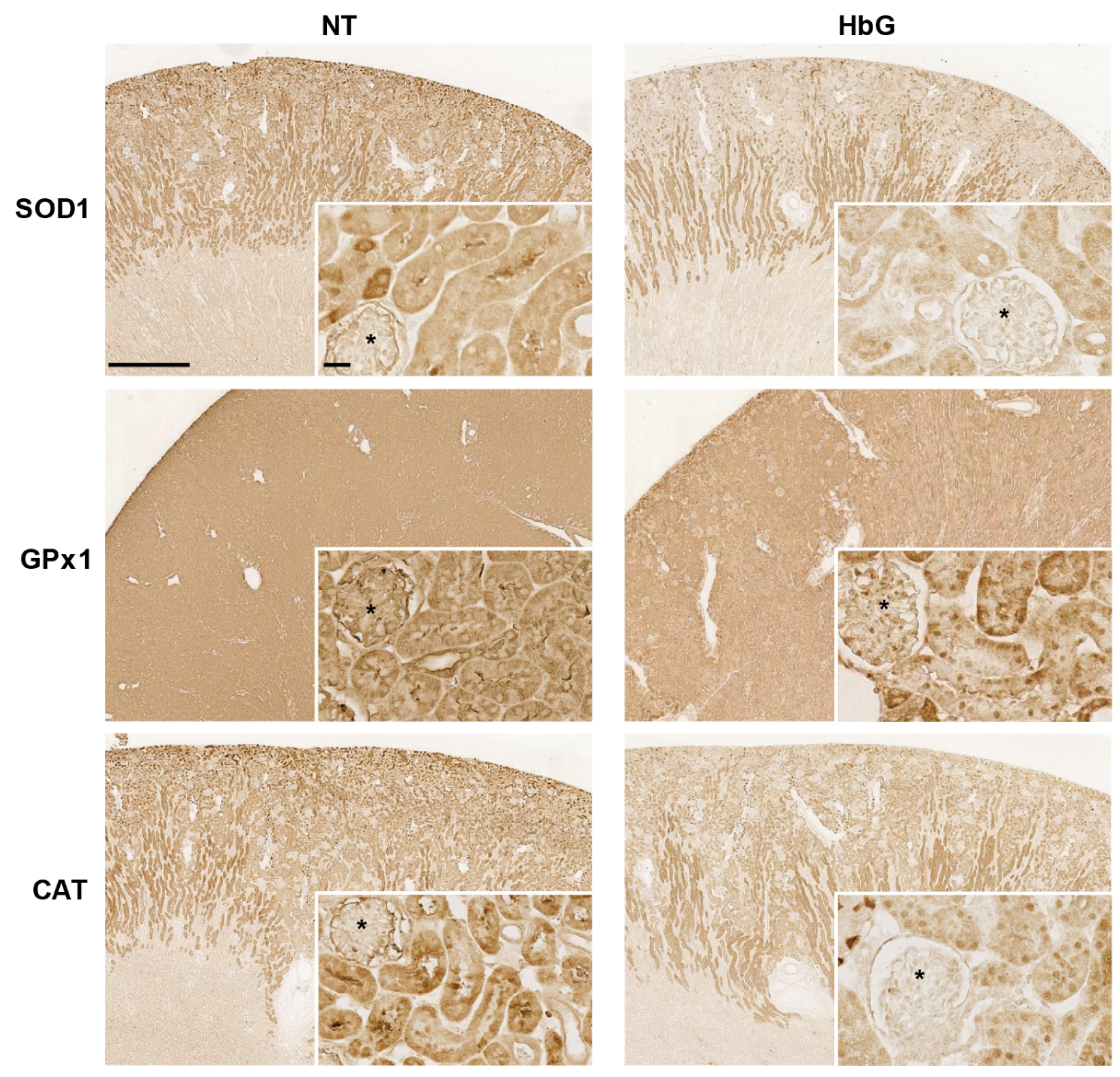 Toxics 04 00006 g003