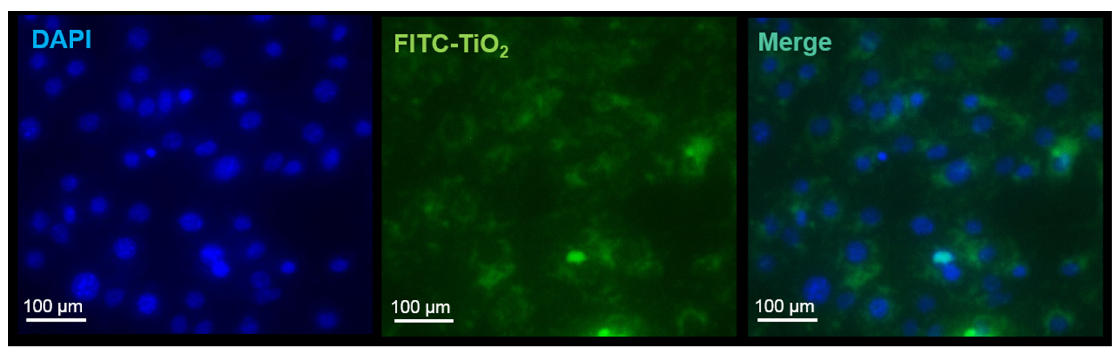 Toxics 05 00015 g001
