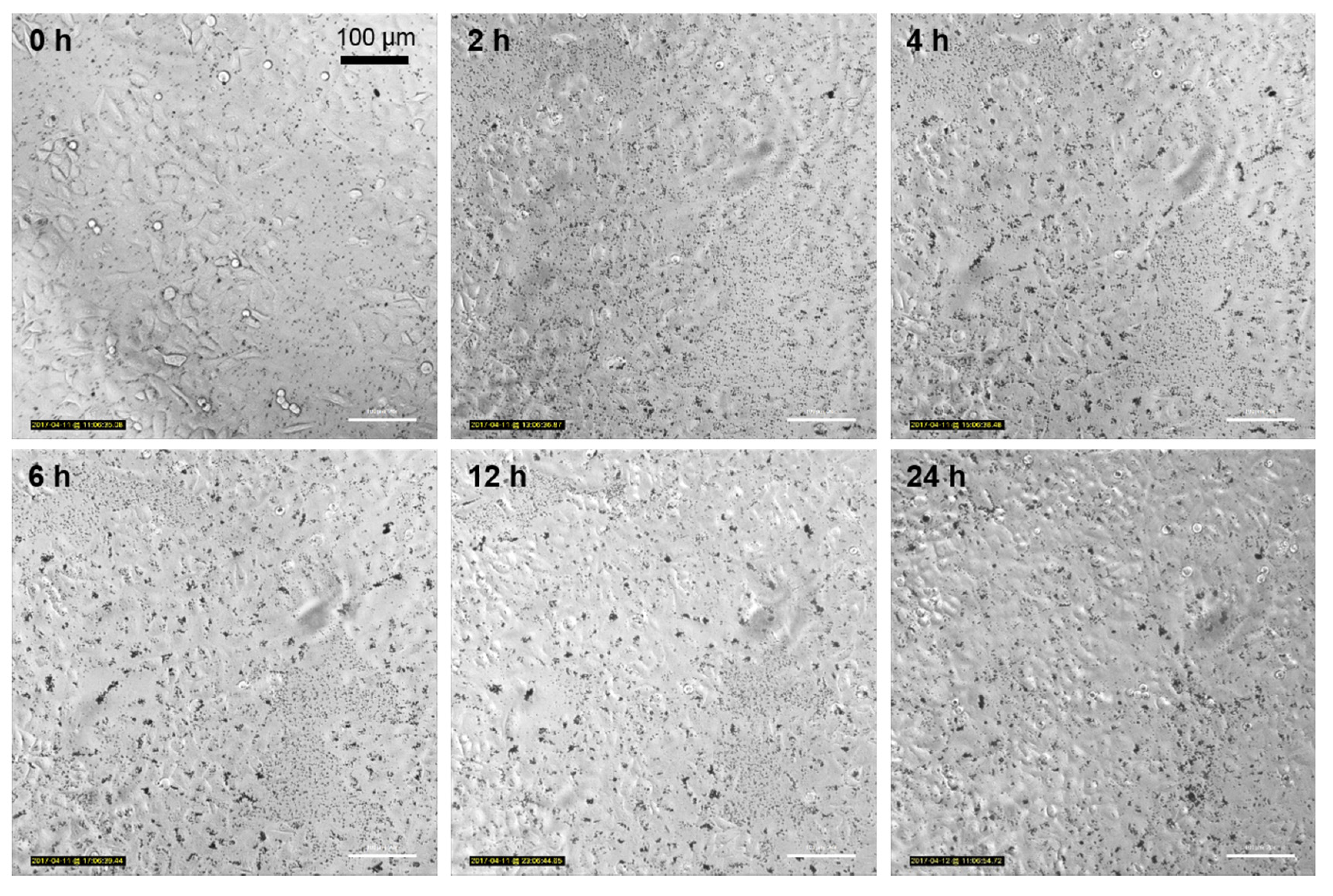 Toxics 05 00015 g006