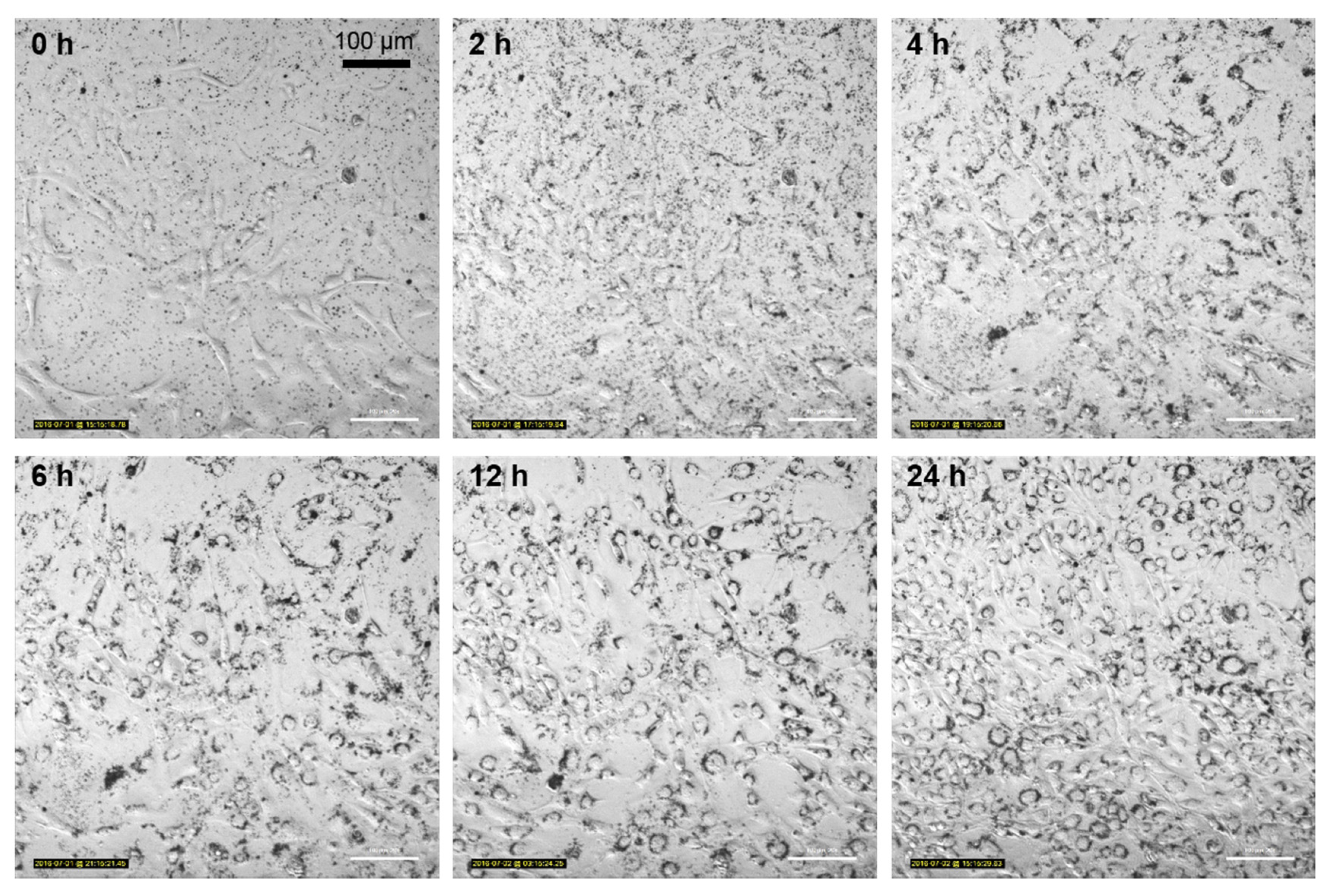 Toxics 05 00015 g007