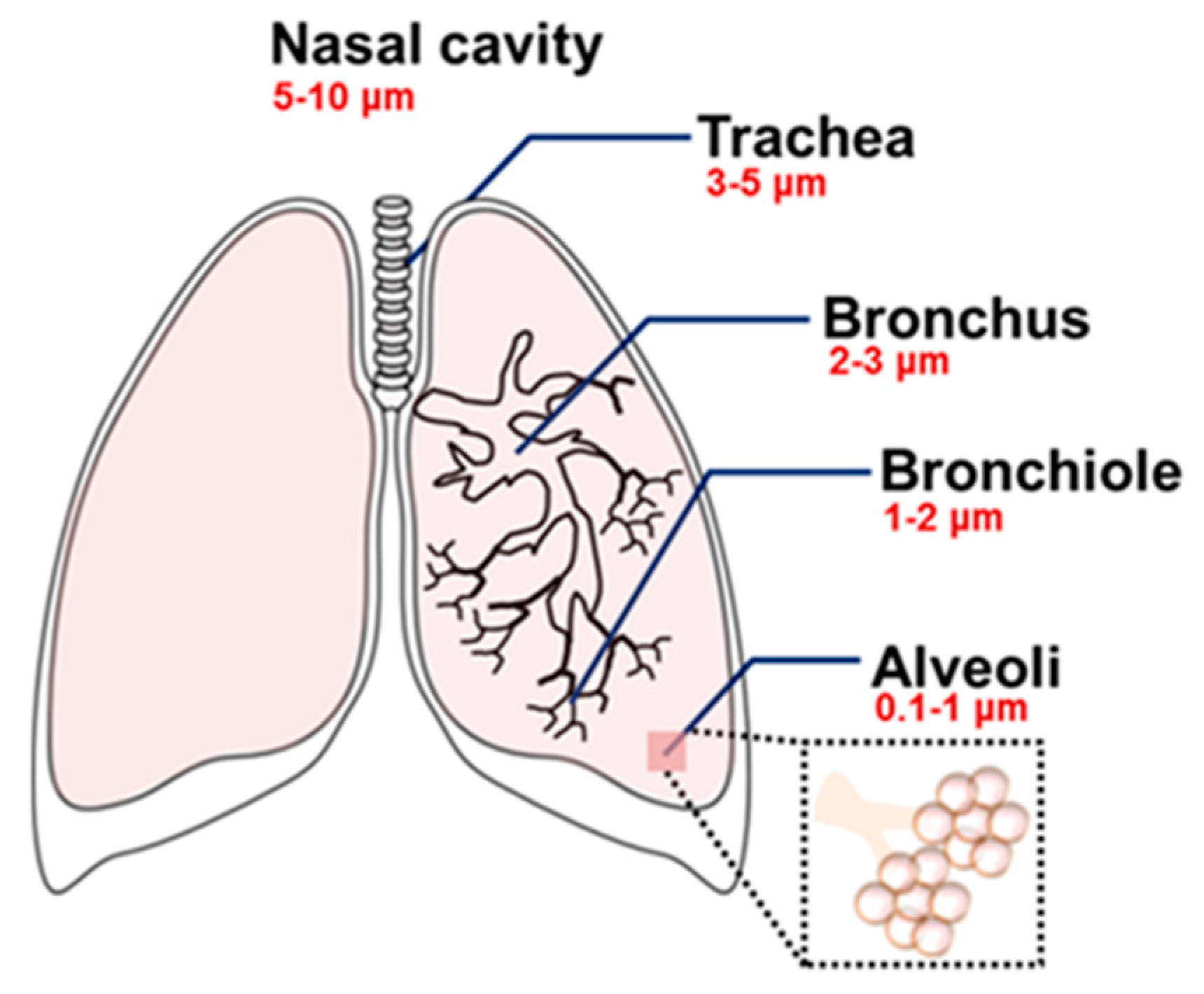 Toxics 05 00029 g003