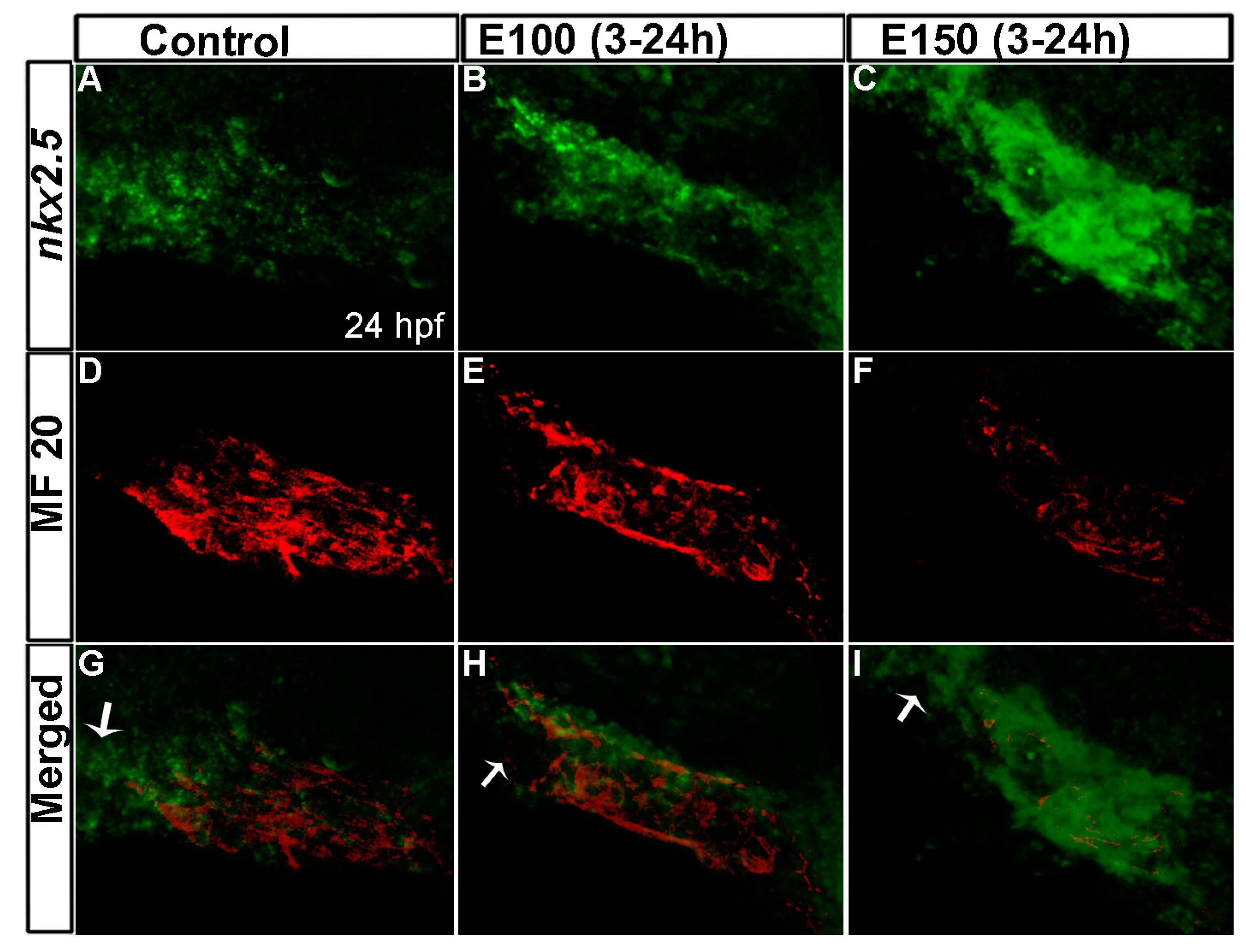 Toxics 05 00035 g003
