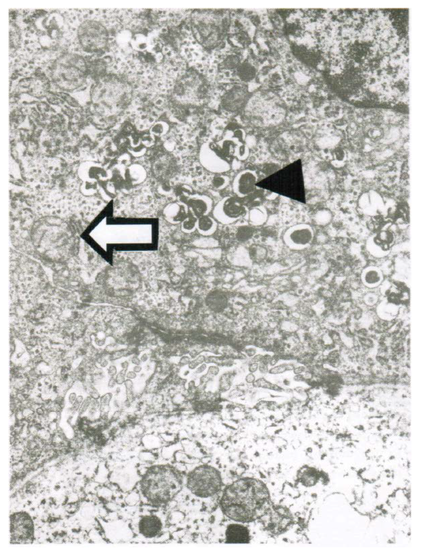 Toxics 06 00025 g002