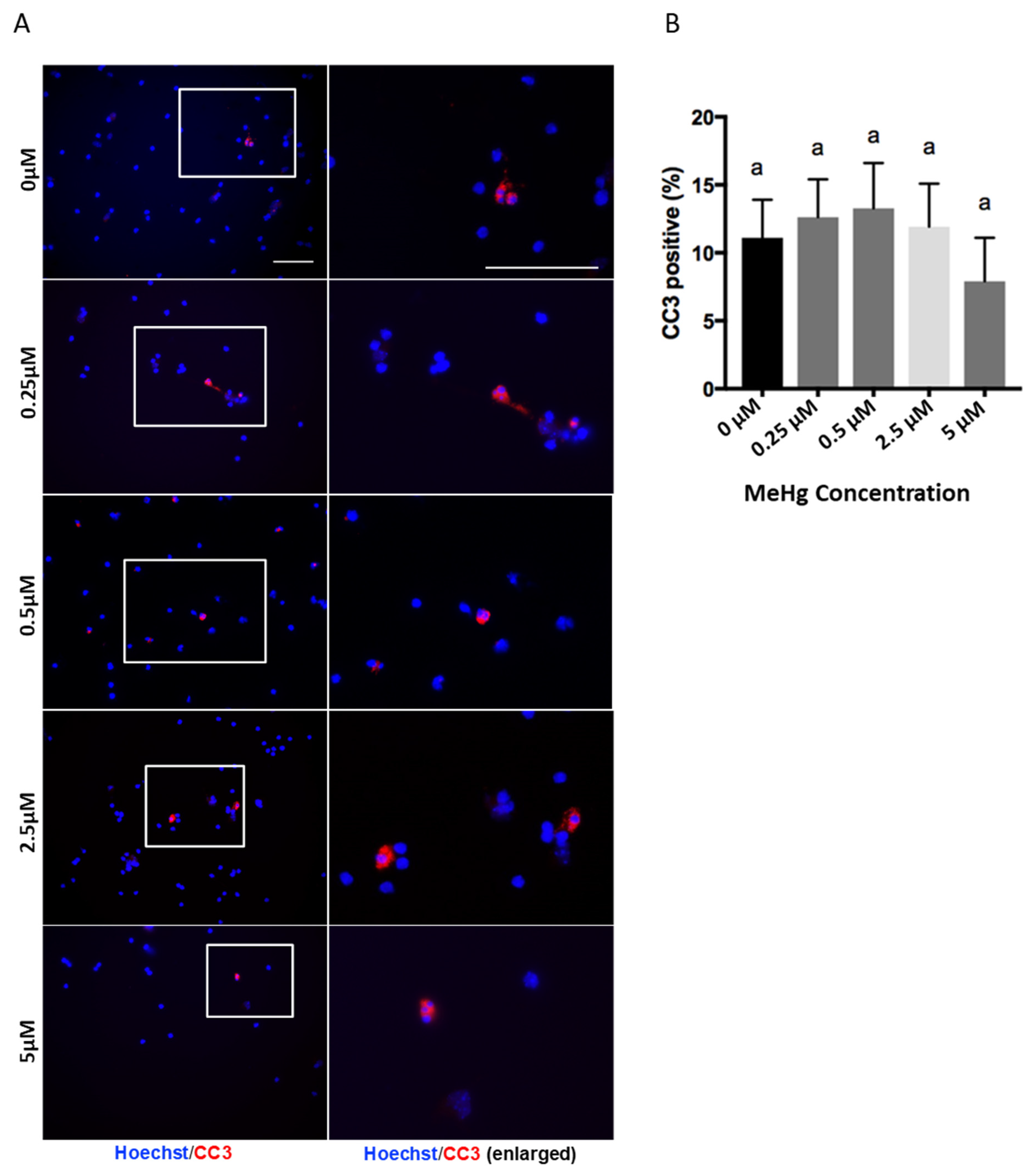 Toxics 06 00061 g001