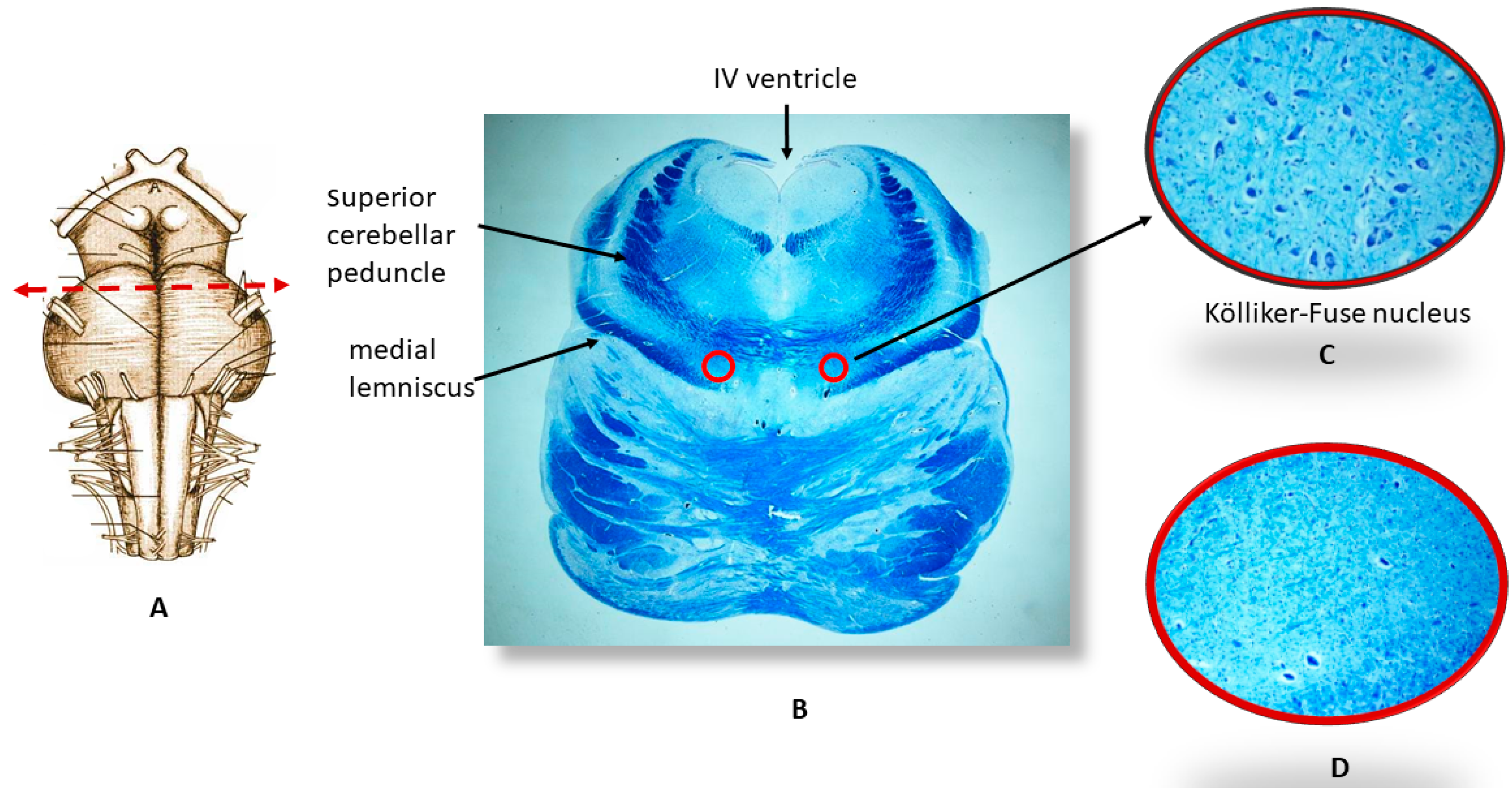 Toxics 06 00063 g002