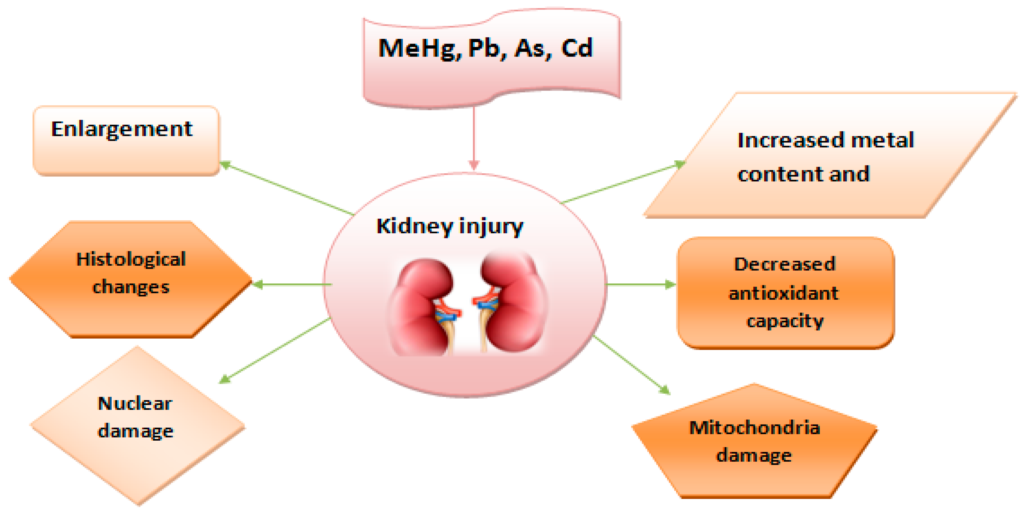 Tin toxicity consequences