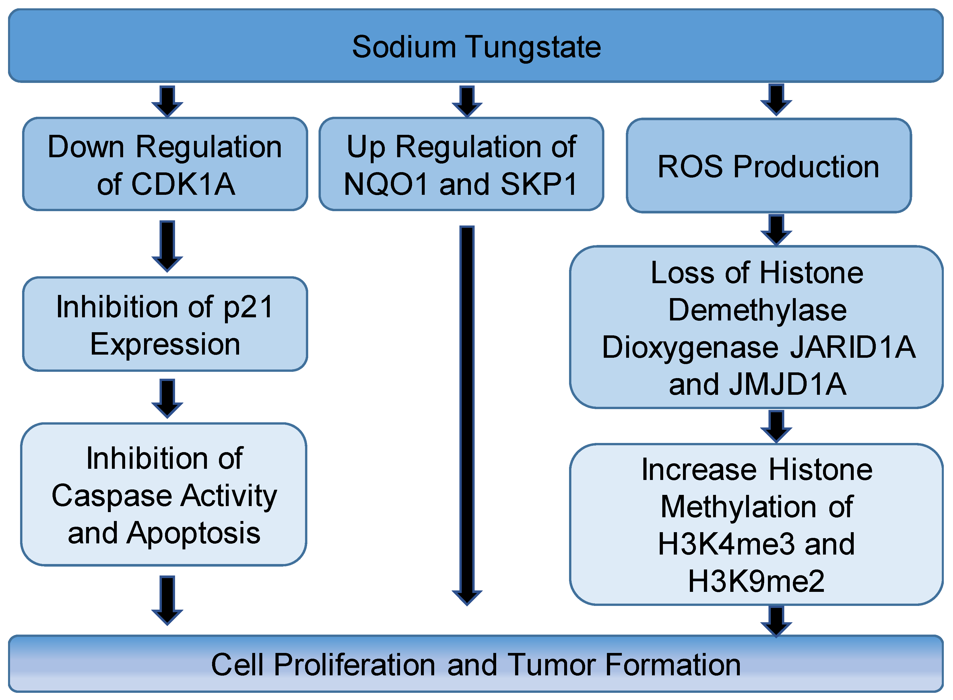 Toxics 06 00066 g001