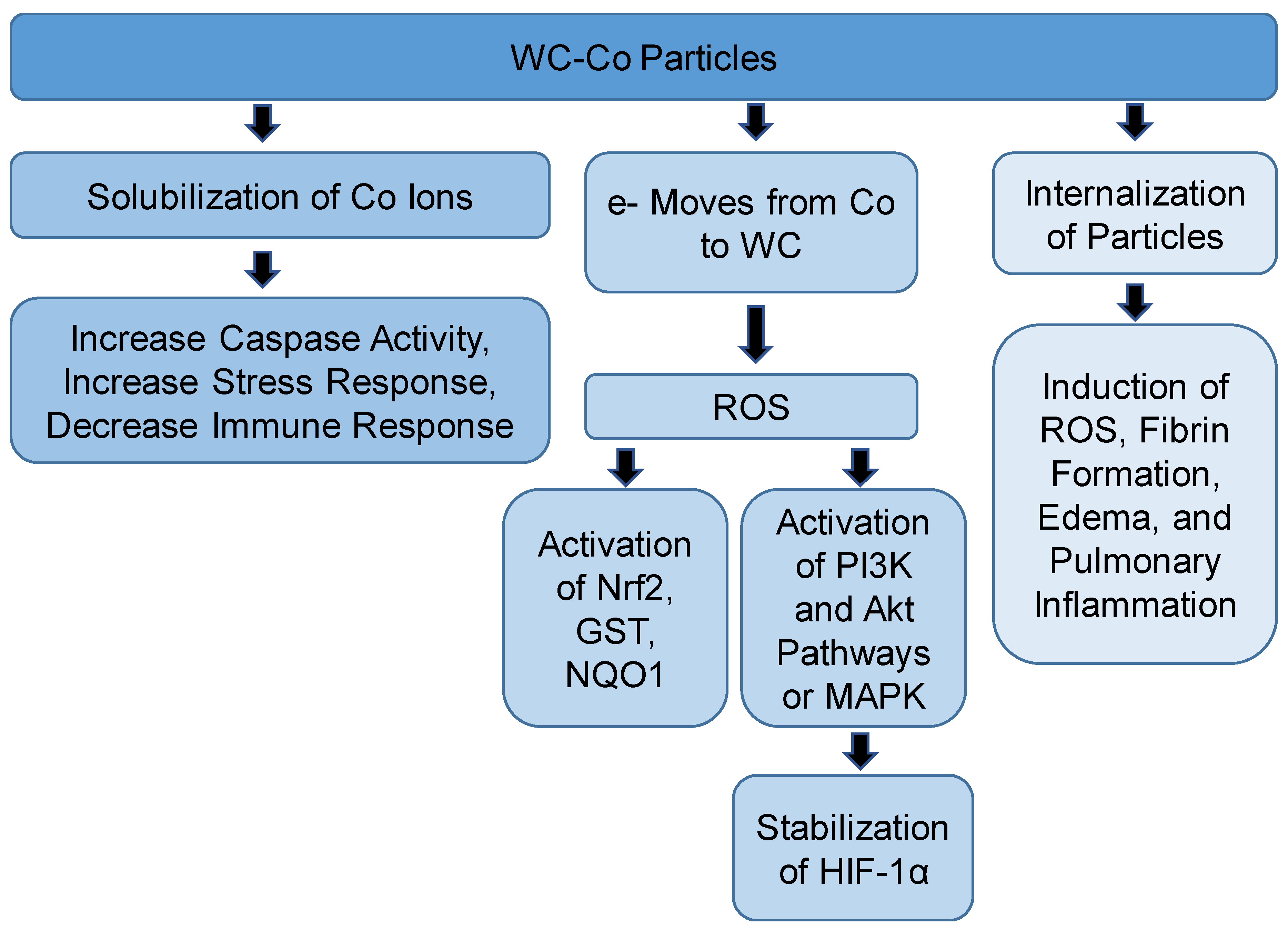 Toxics 06 00066 g002