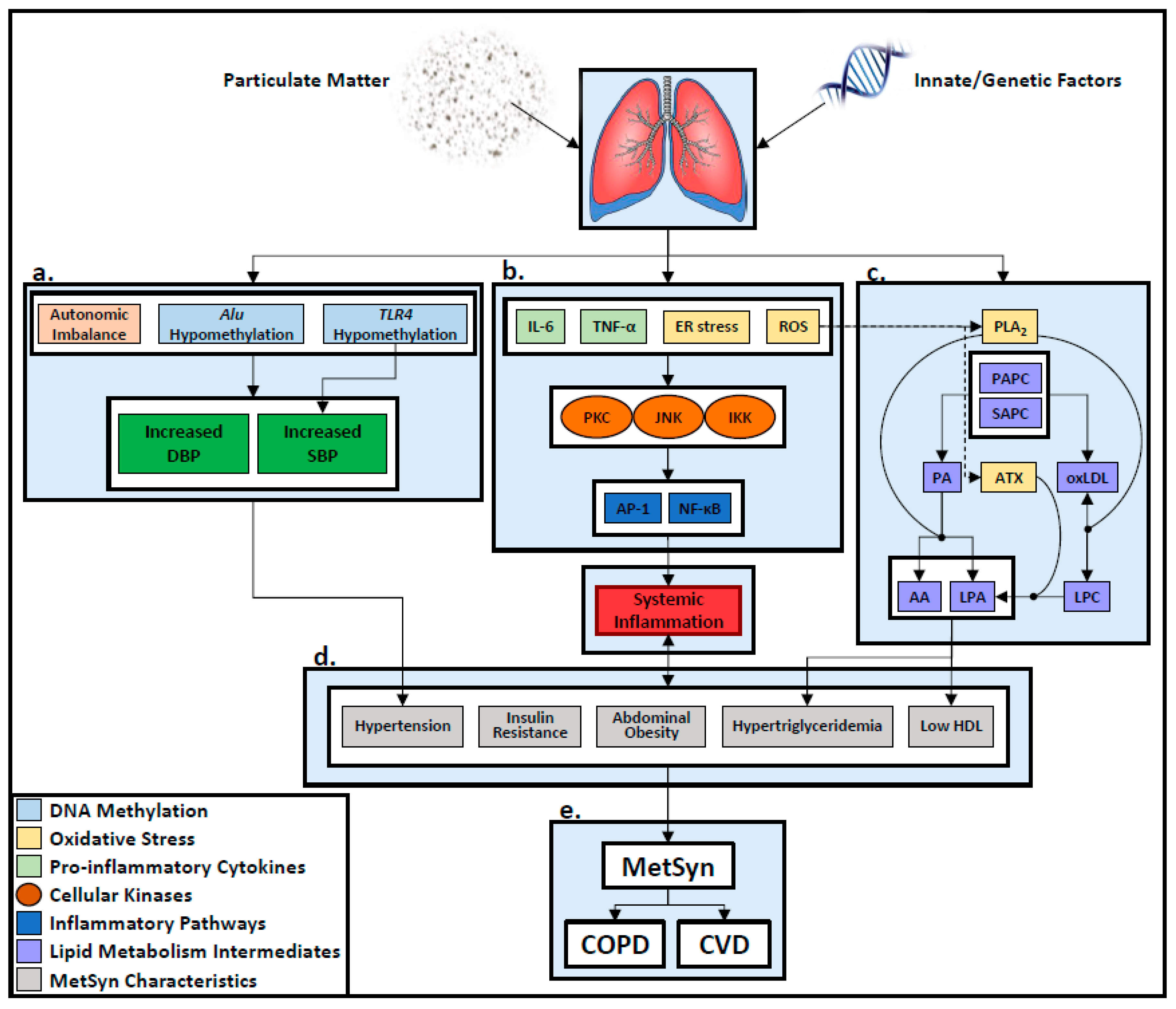 Toxics 07 00006 g001