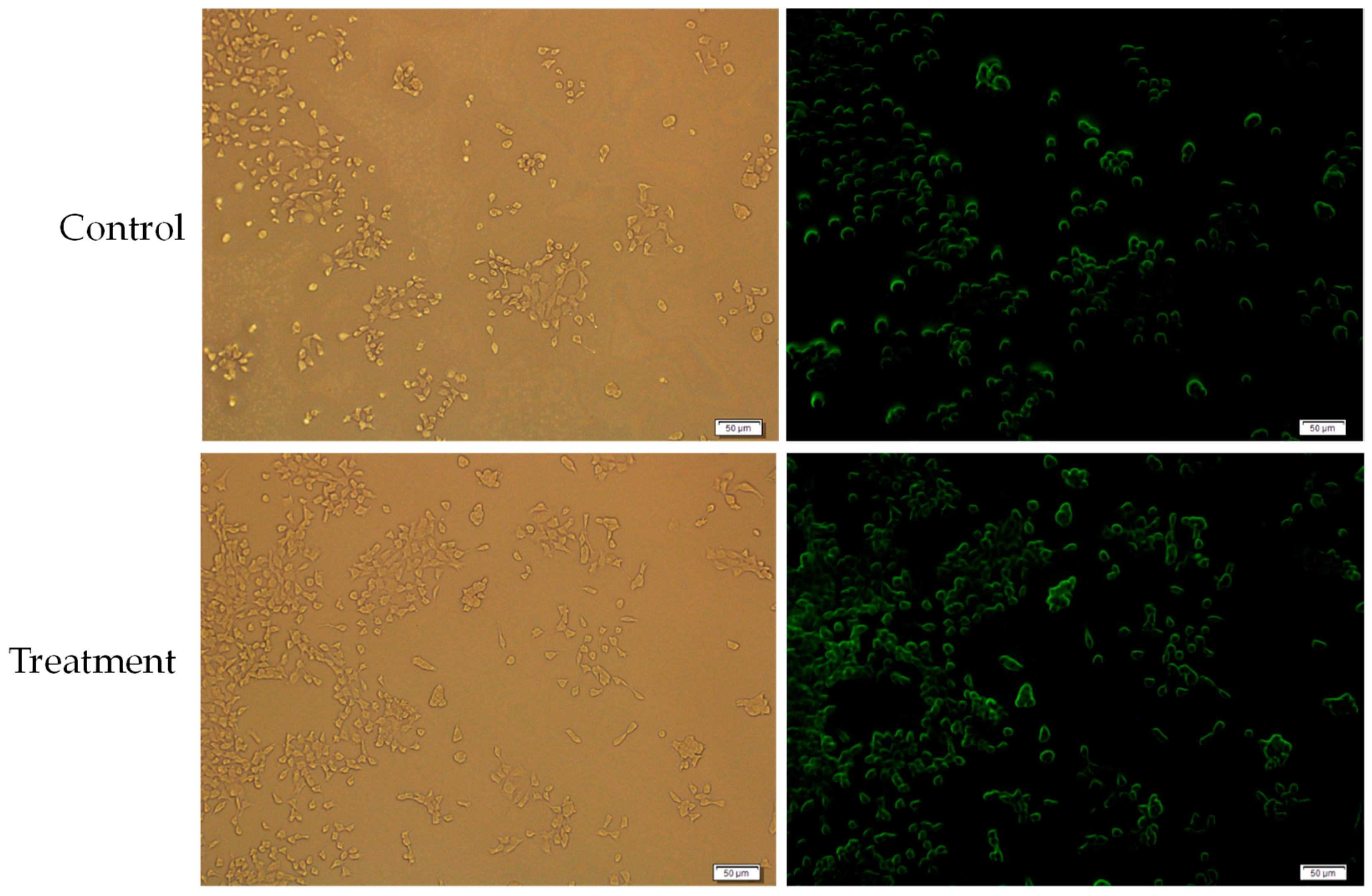 Toxics 07 00010 g013 550
