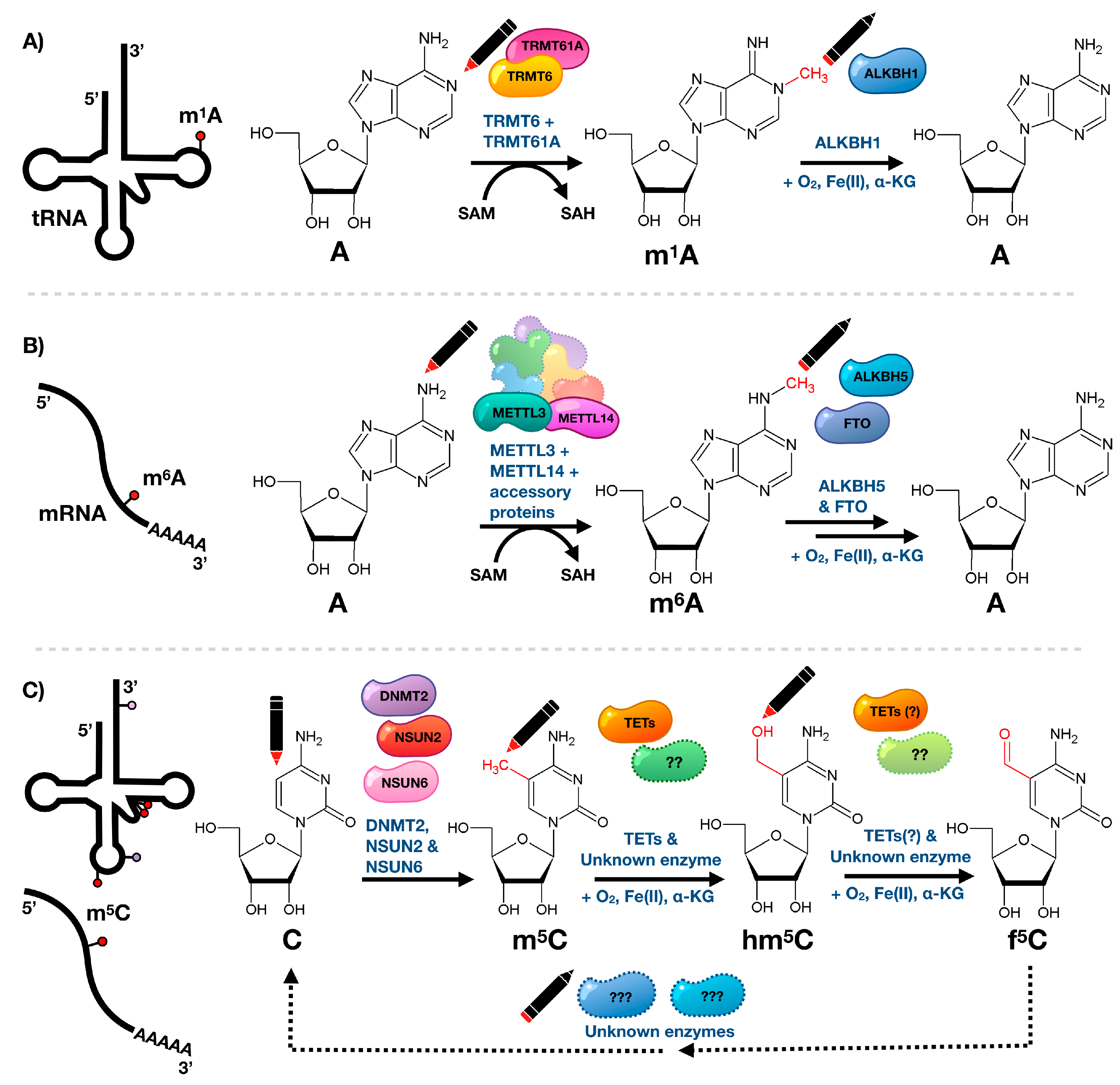 Toxics 07 00017 g002